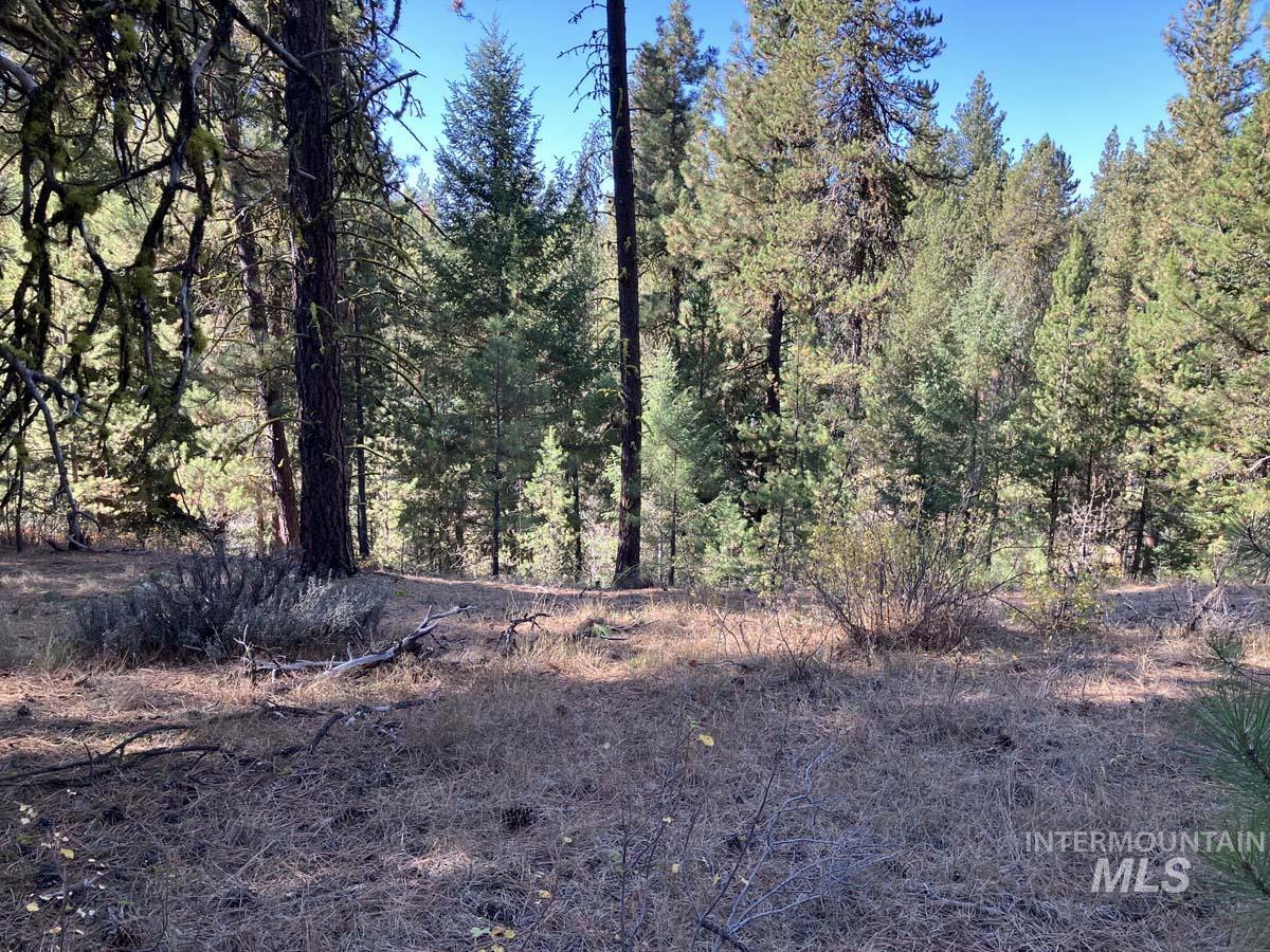 1484 Alberta Court, Cascade, Idaho 83611, Land For Sale, Price $87,900, 98963622