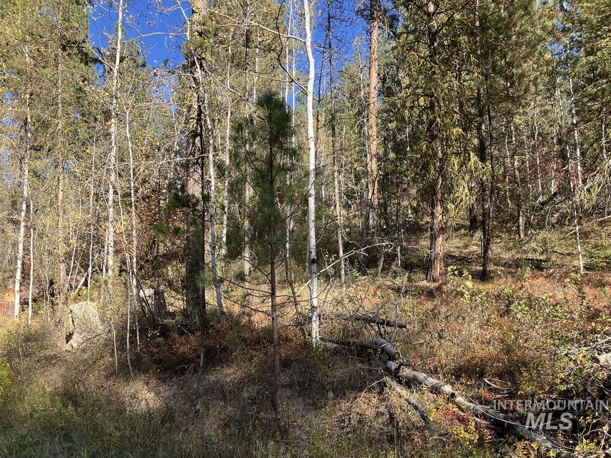 1484 Alberta Court, Cascade, Idaho 83611, Land For Sale, Price $87,900, 98963622