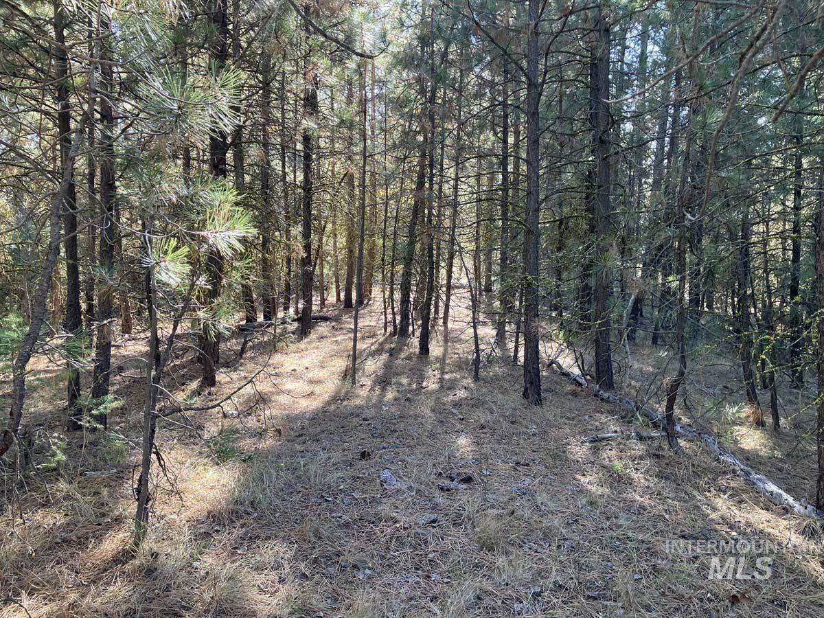 1484 Alberta Court, Cascade, Idaho 83611, Land For Sale, Price $87,900, 98963622