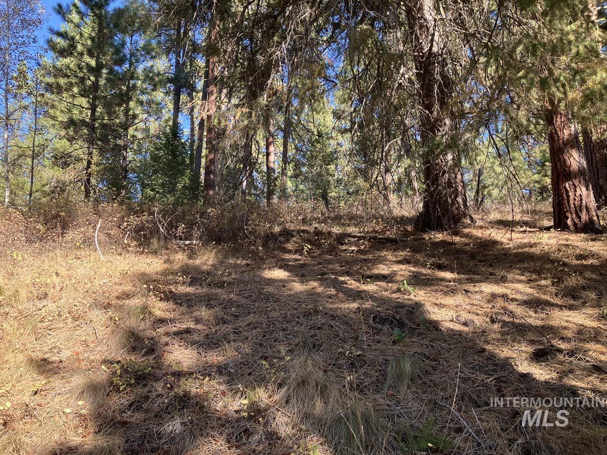 1484 Alberta Court, Cascade, Idaho 83611, Land For Sale, Price $87,900, 98963622
