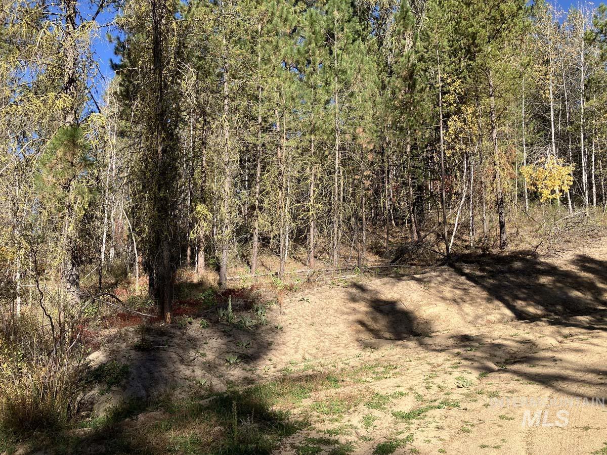 1484 Alberta Court, Cascade, Idaho 83611, Land For Sale, Price $87,900, 98963622