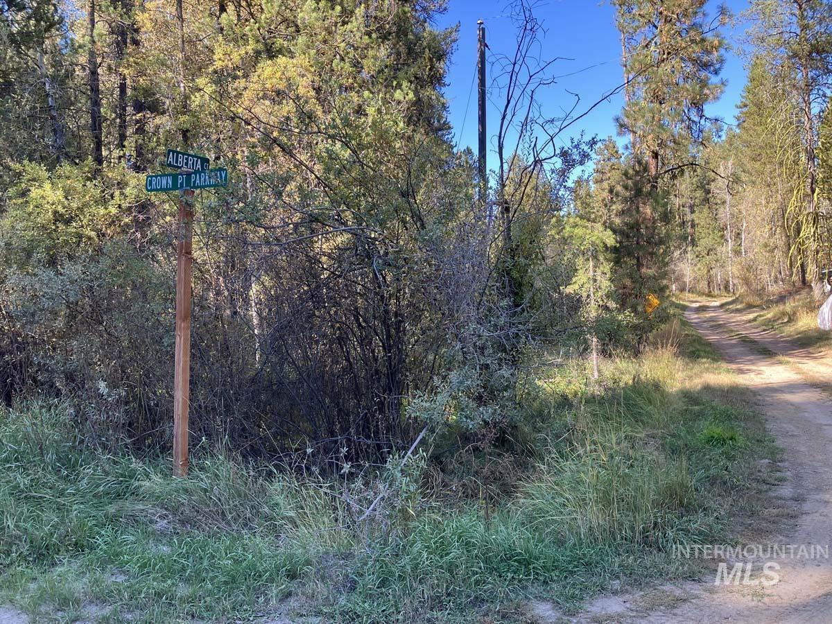 1484 Alberta Court, Cascade, Idaho 83611, Land For Sale, Price $87,900, 98963622