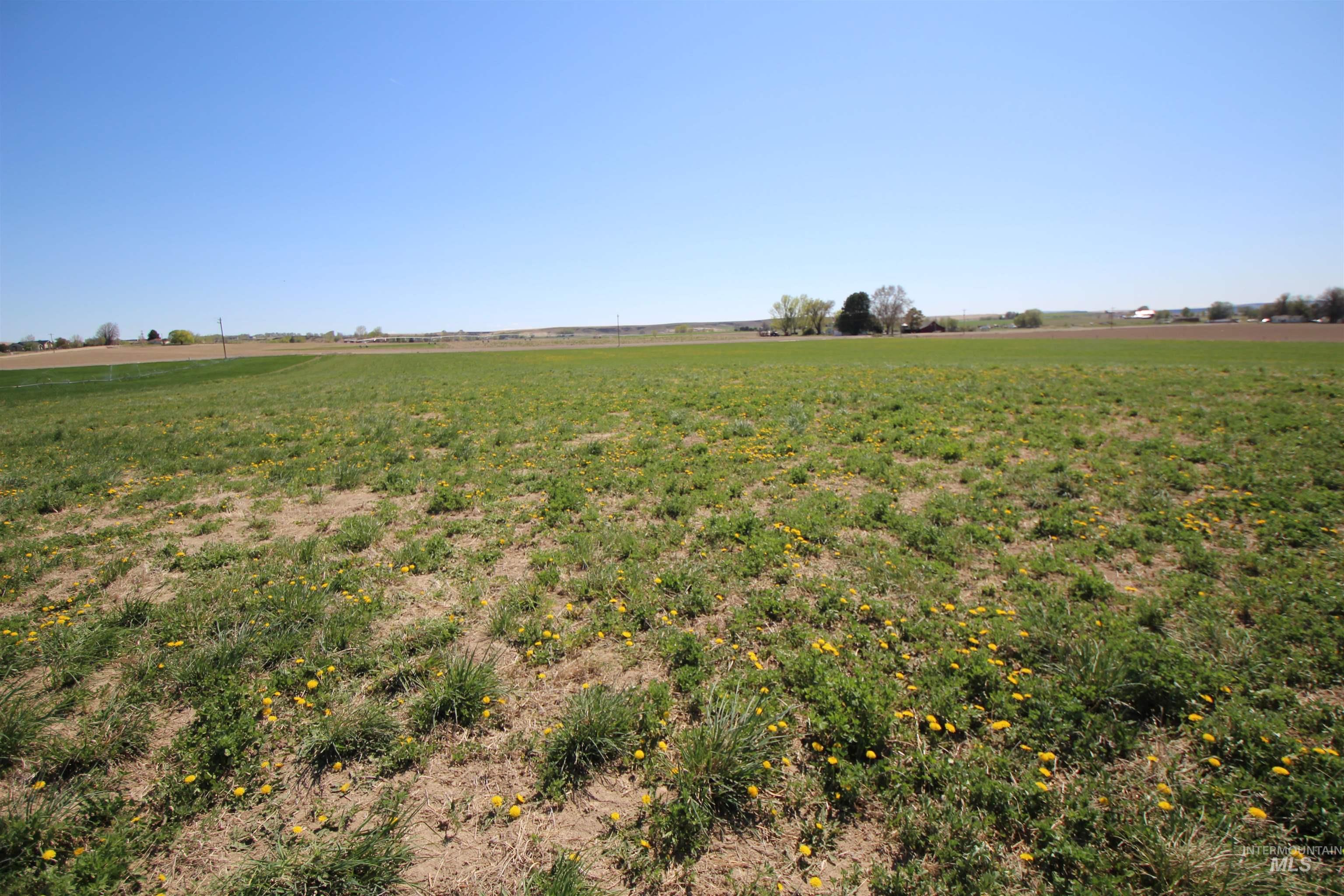View of yard with a view of rural / pastoral area