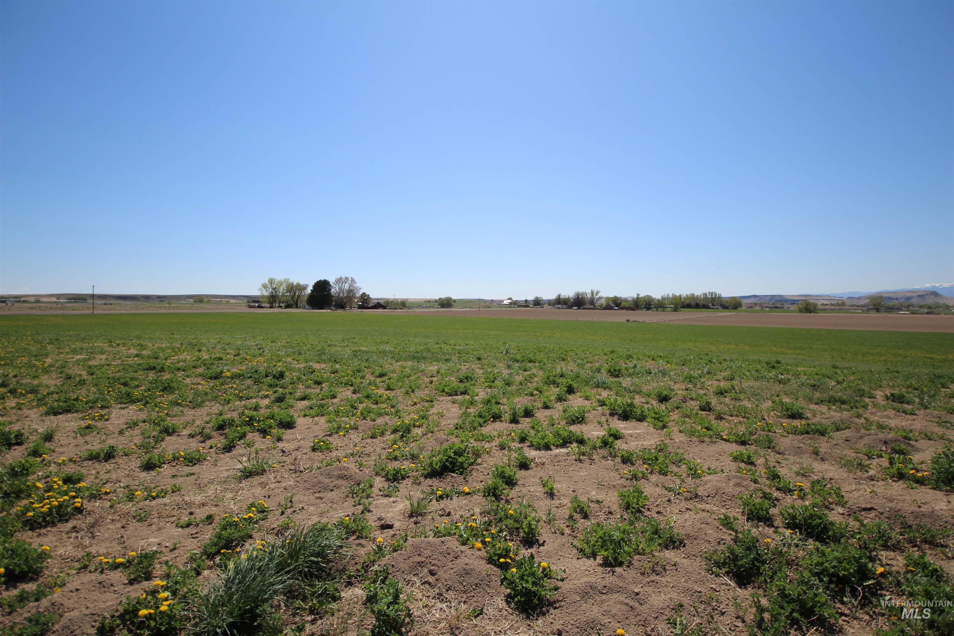 View of yard featuring a rural view