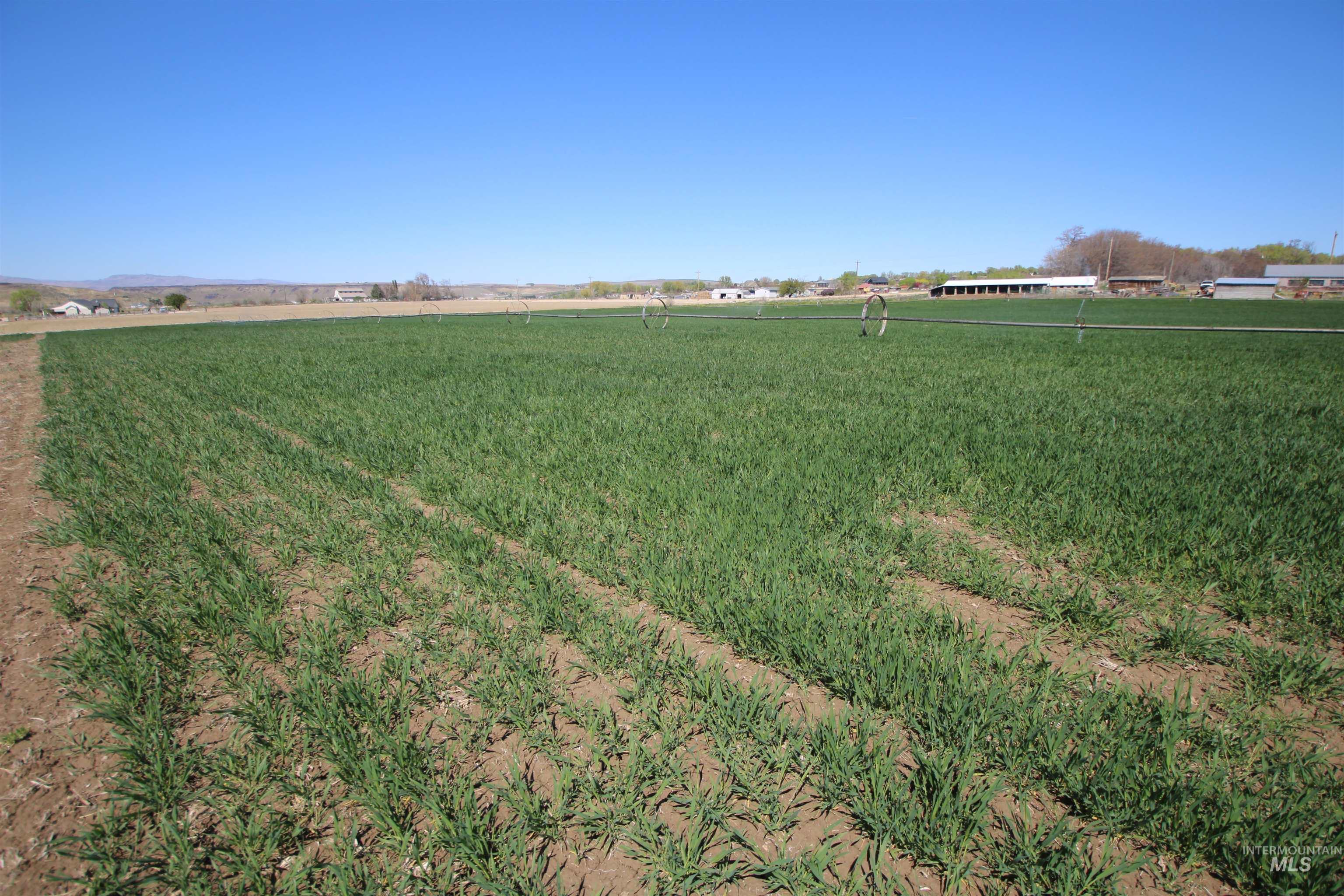 View of grassy yard featuring a view of rural / pastoral area and agricultural plots