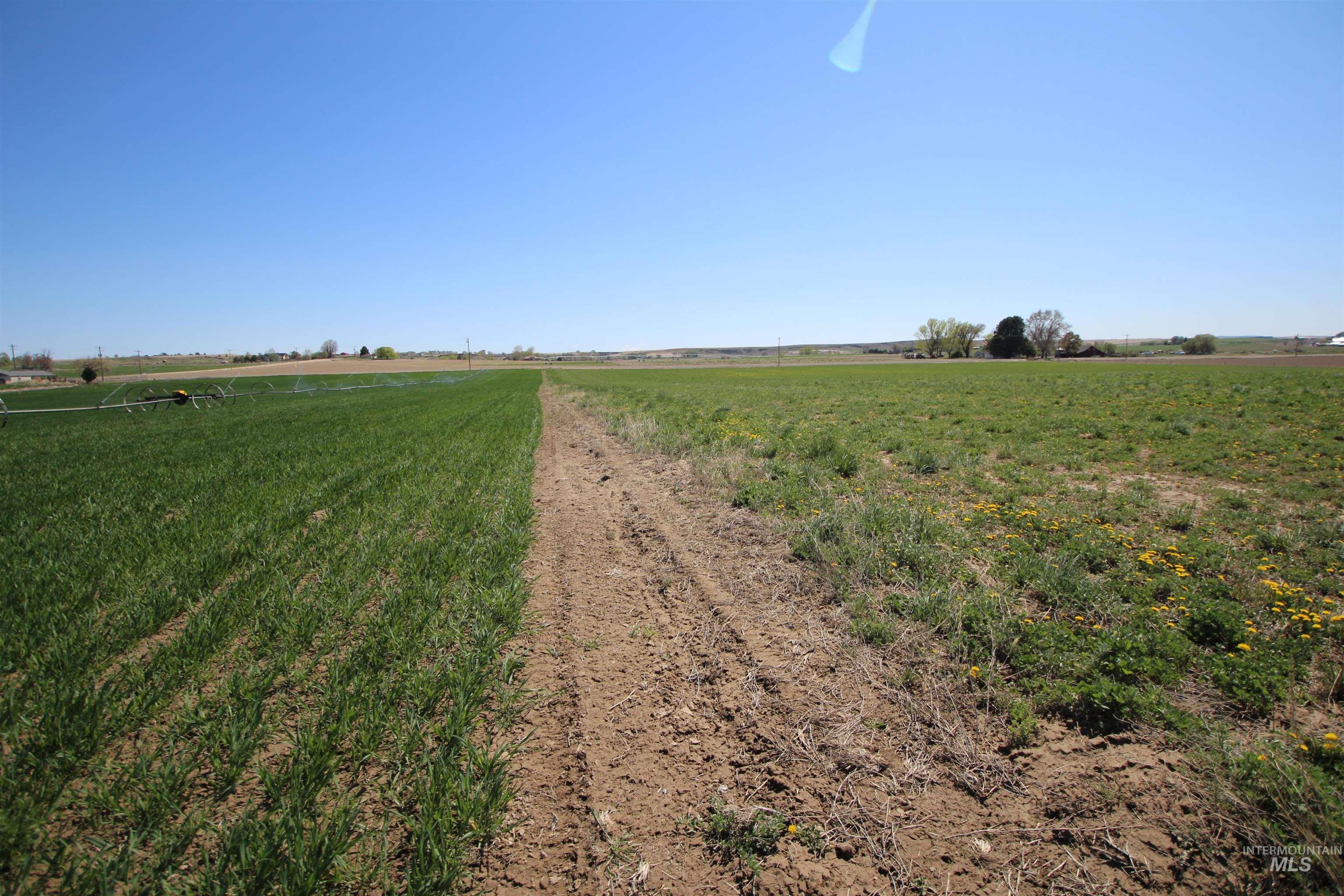 View of road with a view of rural / pastoral area