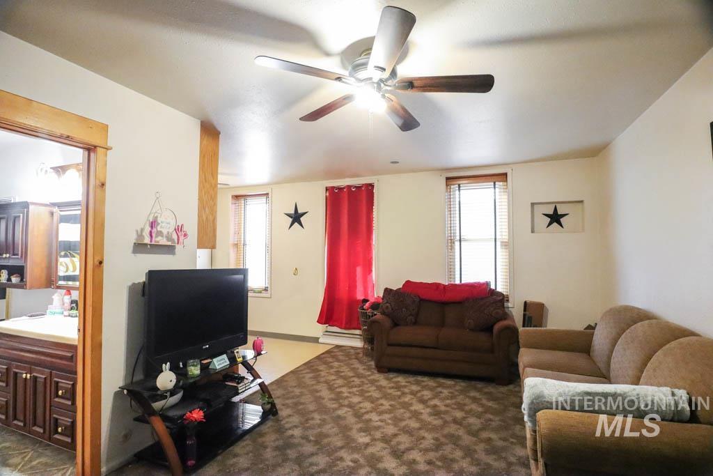Carpeted living room with healthy amount of natural light and ceiling fan