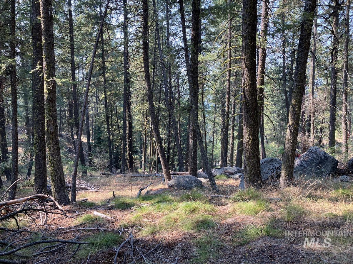 7 Frazier Place, Cascade, Idaho 83611, Land For Sale, Price $104,900, 98963705