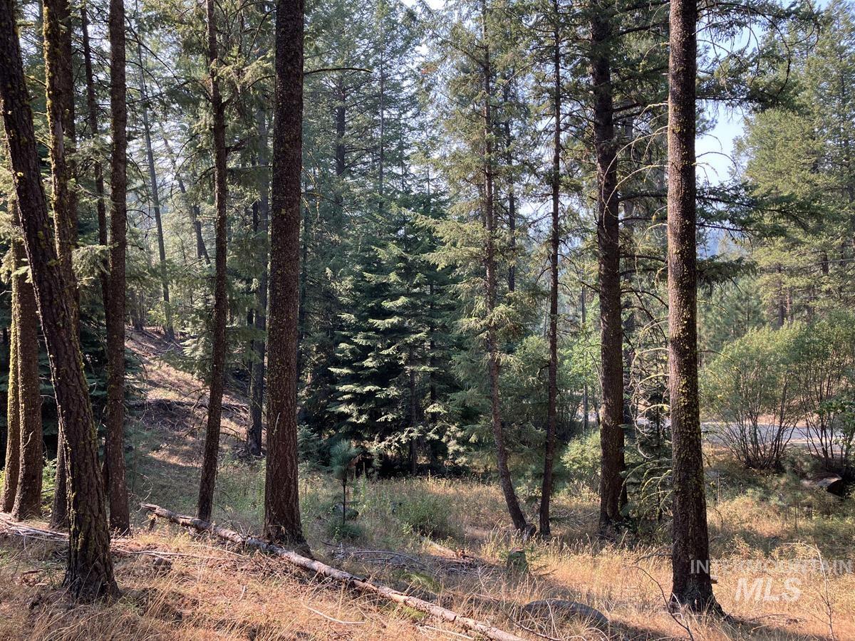 7 Frazier Place, Cascade, Idaho 83611, Land For Sale, Price $104,900, 98963705