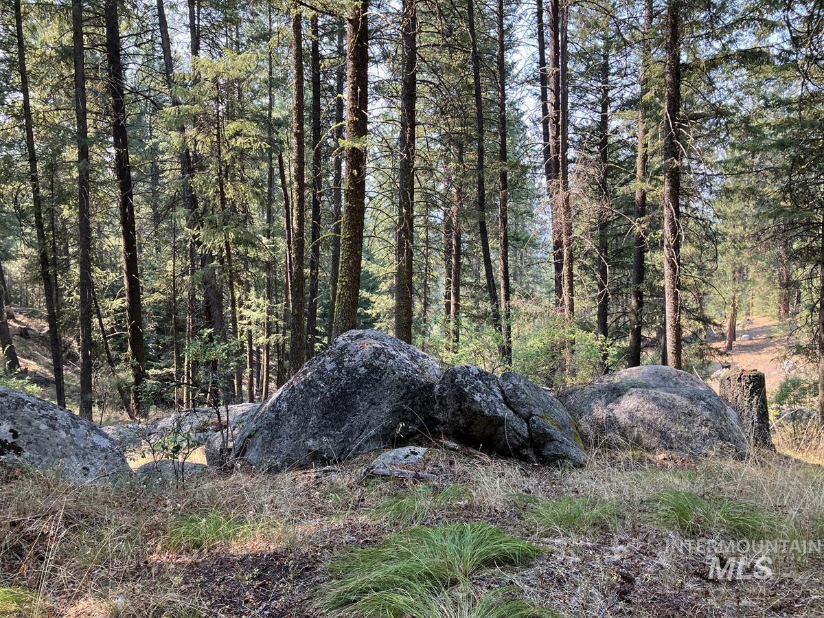 7 Frazier Place, Cascade, Idaho 83611, Land For Sale, Price $104,900, 98963705