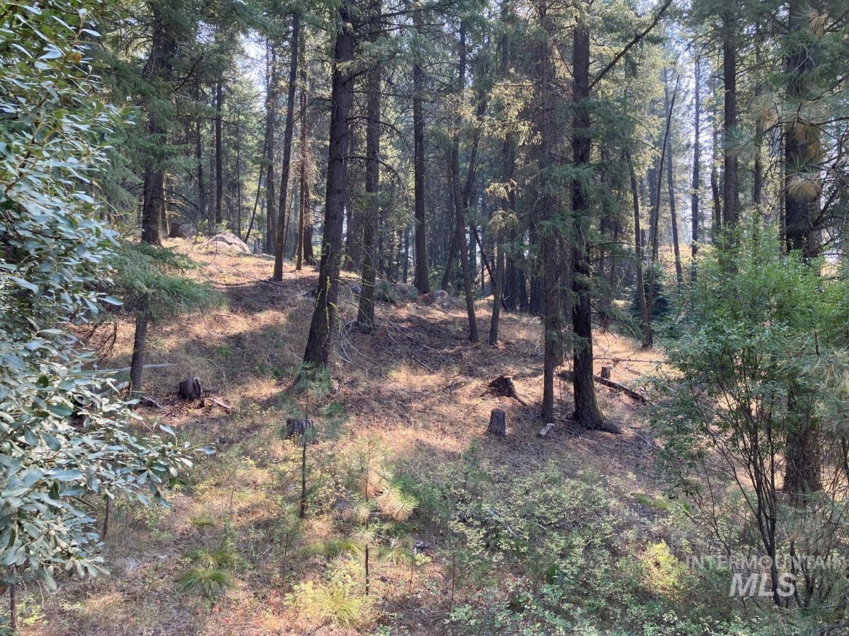 7 Frazier Place, Cascade, Idaho 83611, Land For Sale, Price $104,900, 98963705