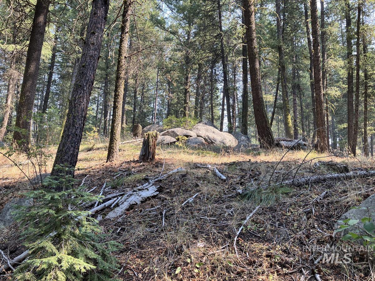 7 Frazier Place, Cascade, Idaho 83611, Land For Sale, Price $104,900, 98963705