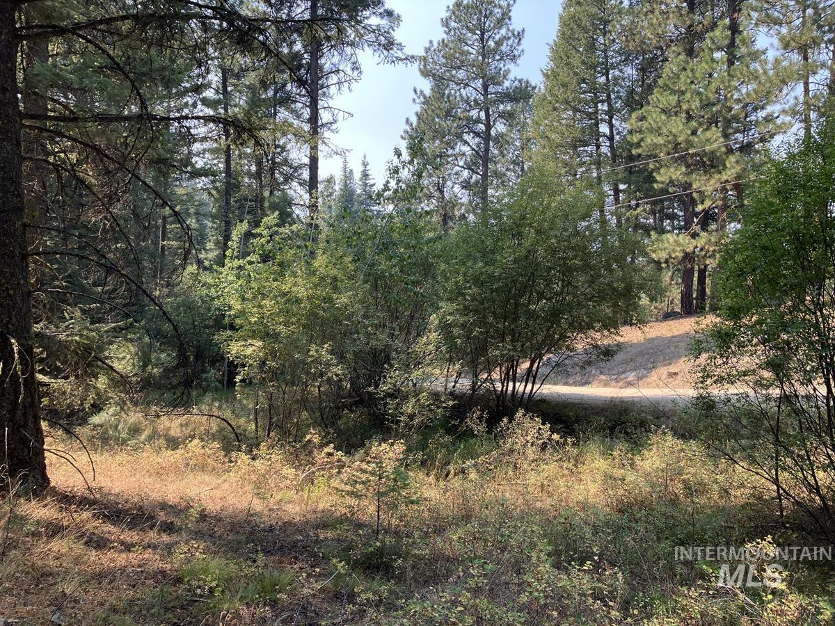 7 Frazier Place, Cascade, Idaho 83611, Land For Sale, Price $104,900, 98963705