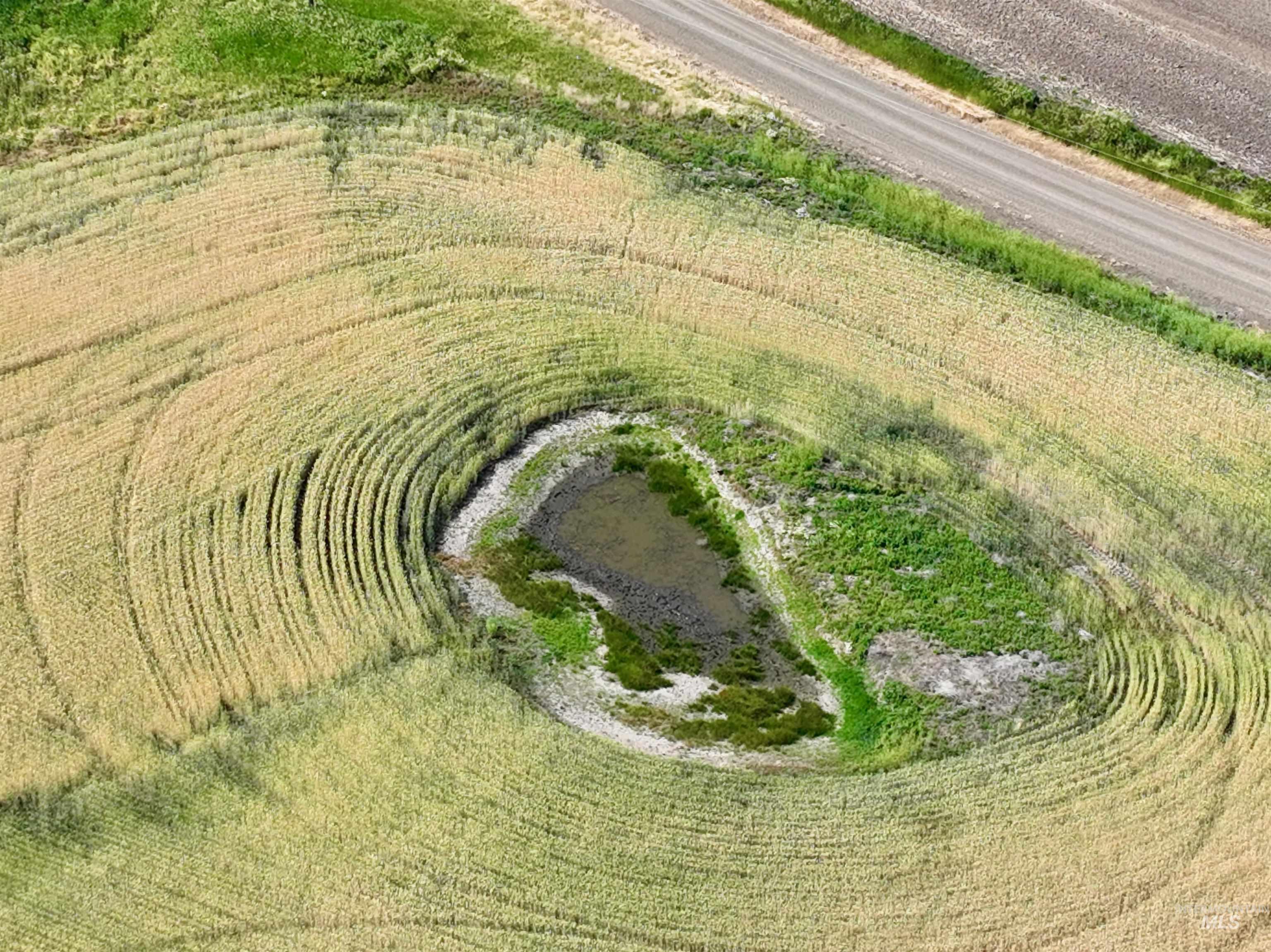 TBD Central Ridge Rd, Craigmont, Idaho 83523, Land For Sale, Price $480,000, 98963754