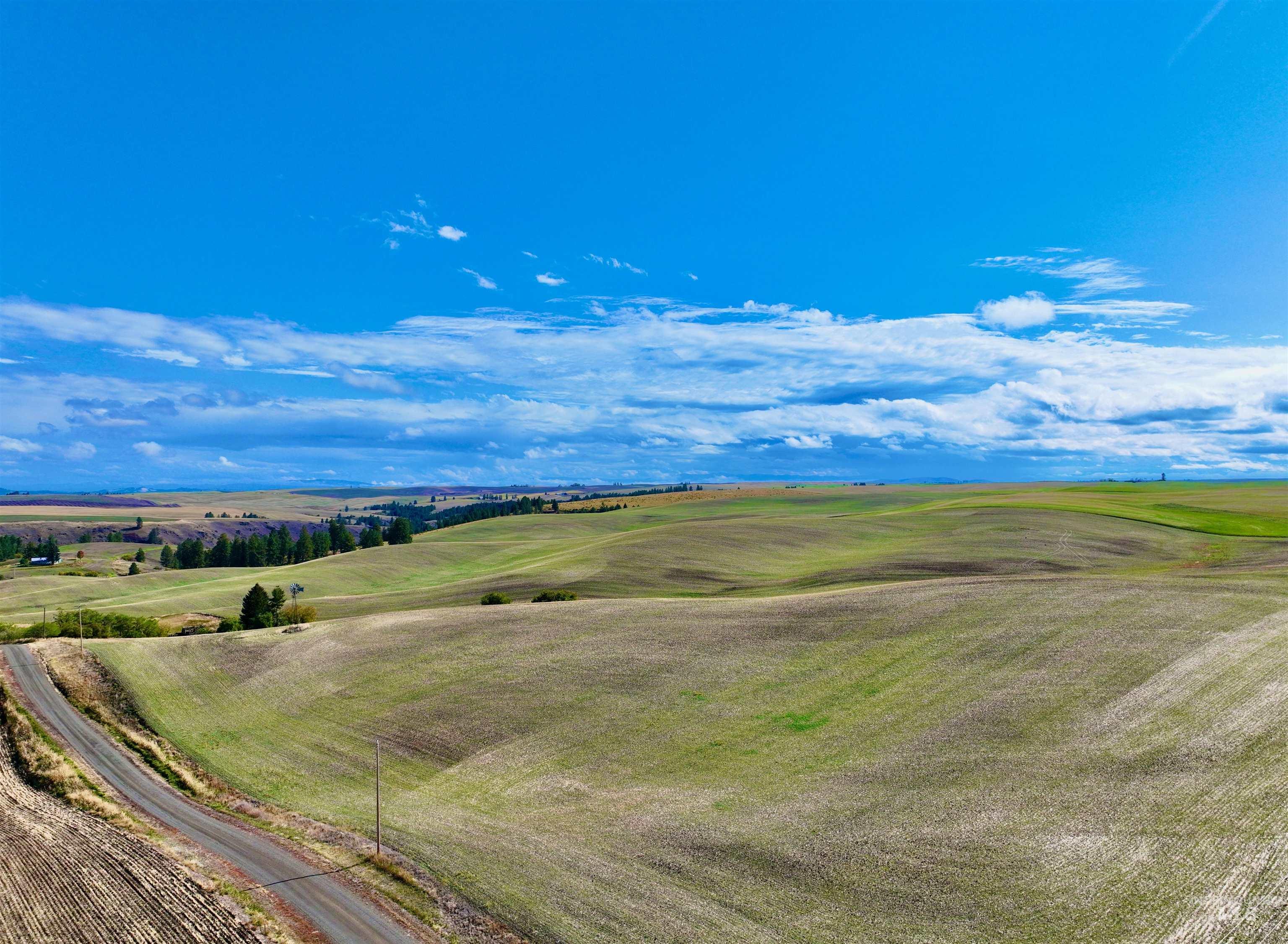 Aerial view of sparsely populated area