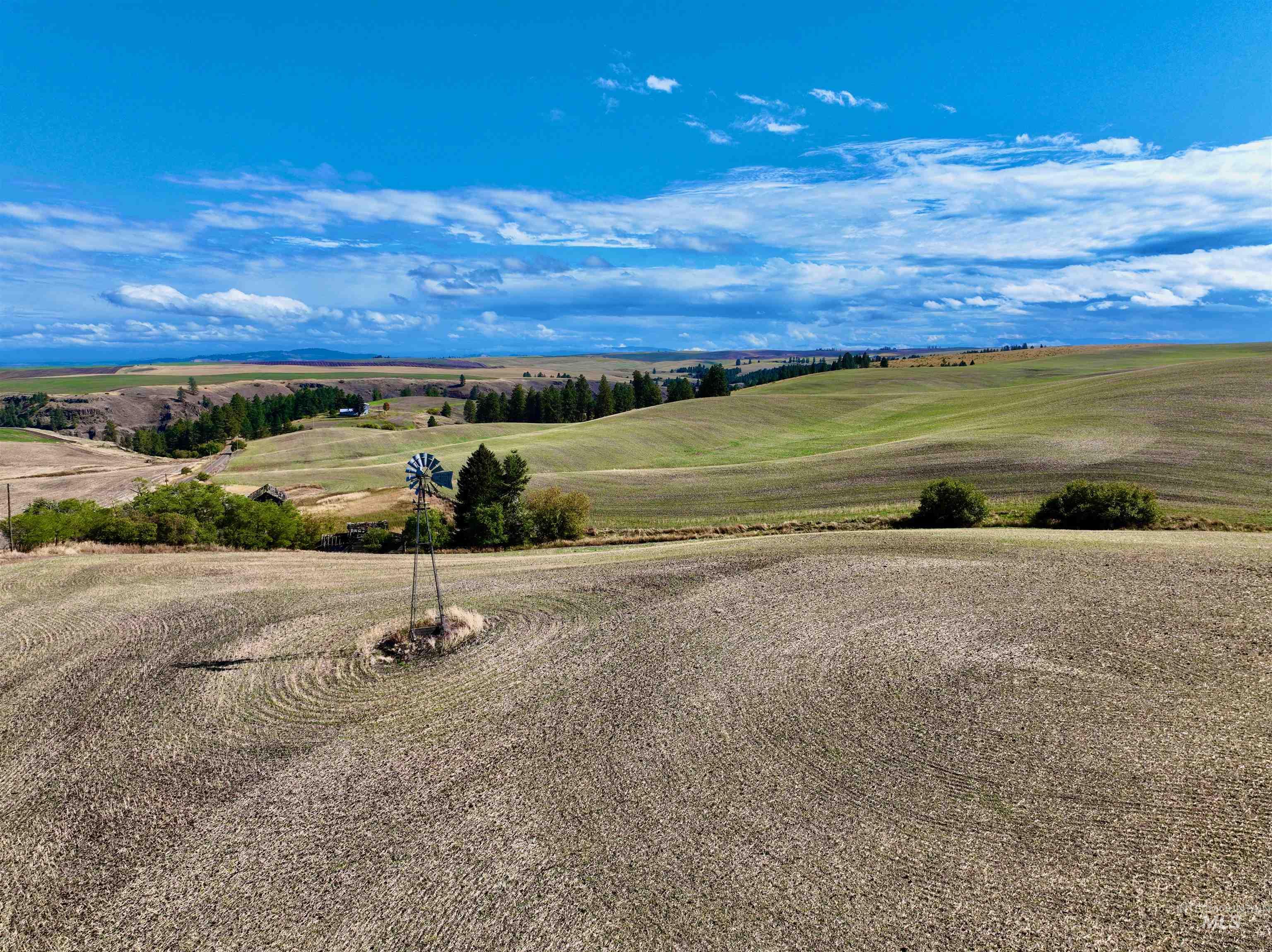 View of rural area