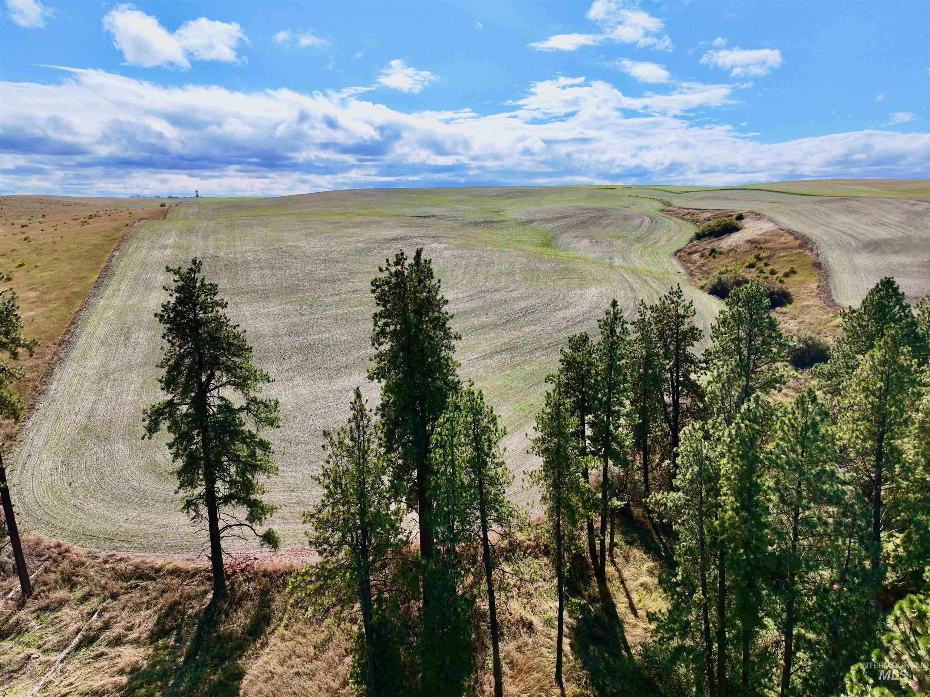 Aerial view of sparsely populated area