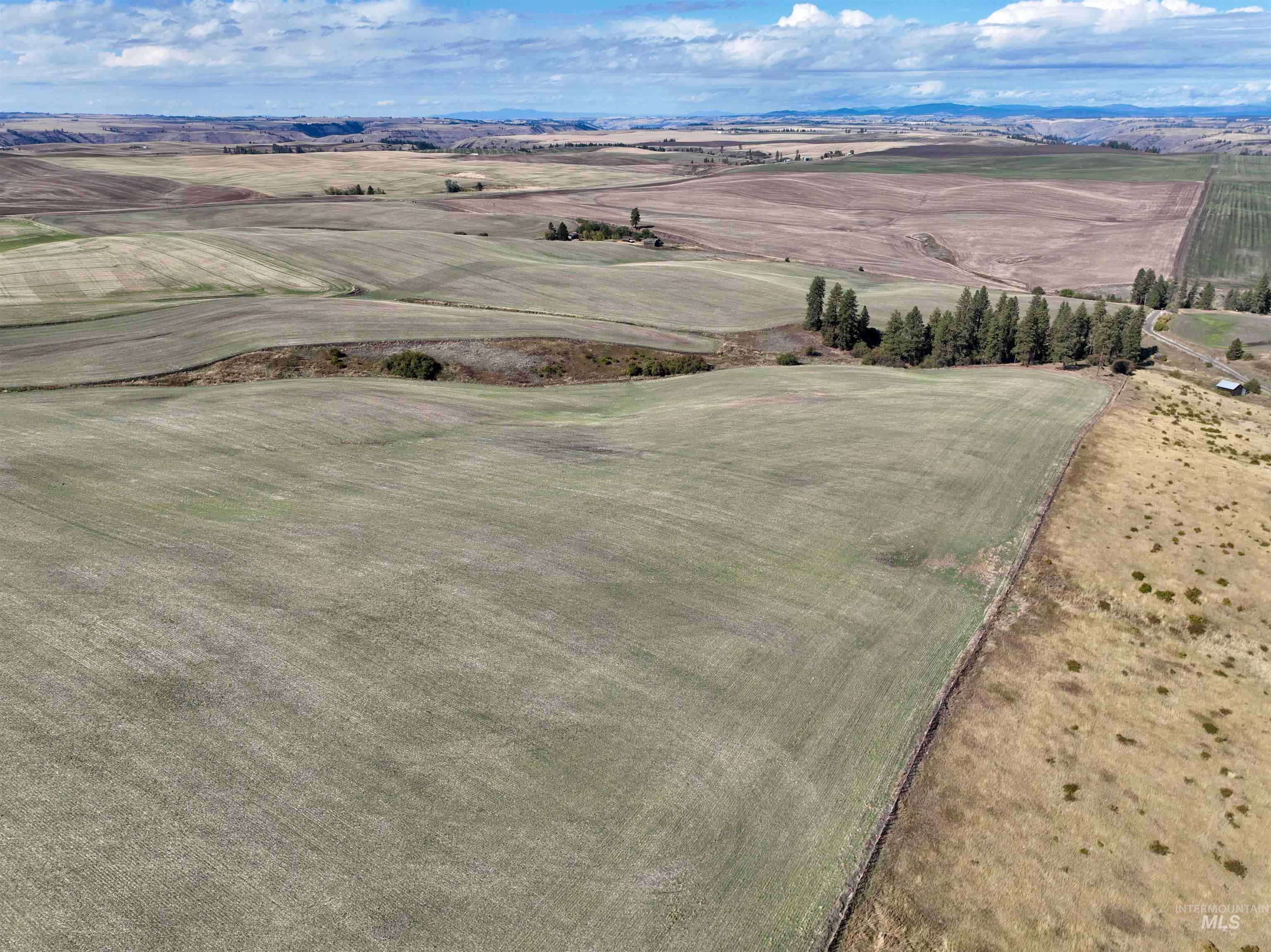 View of rural area featuring rows of crops