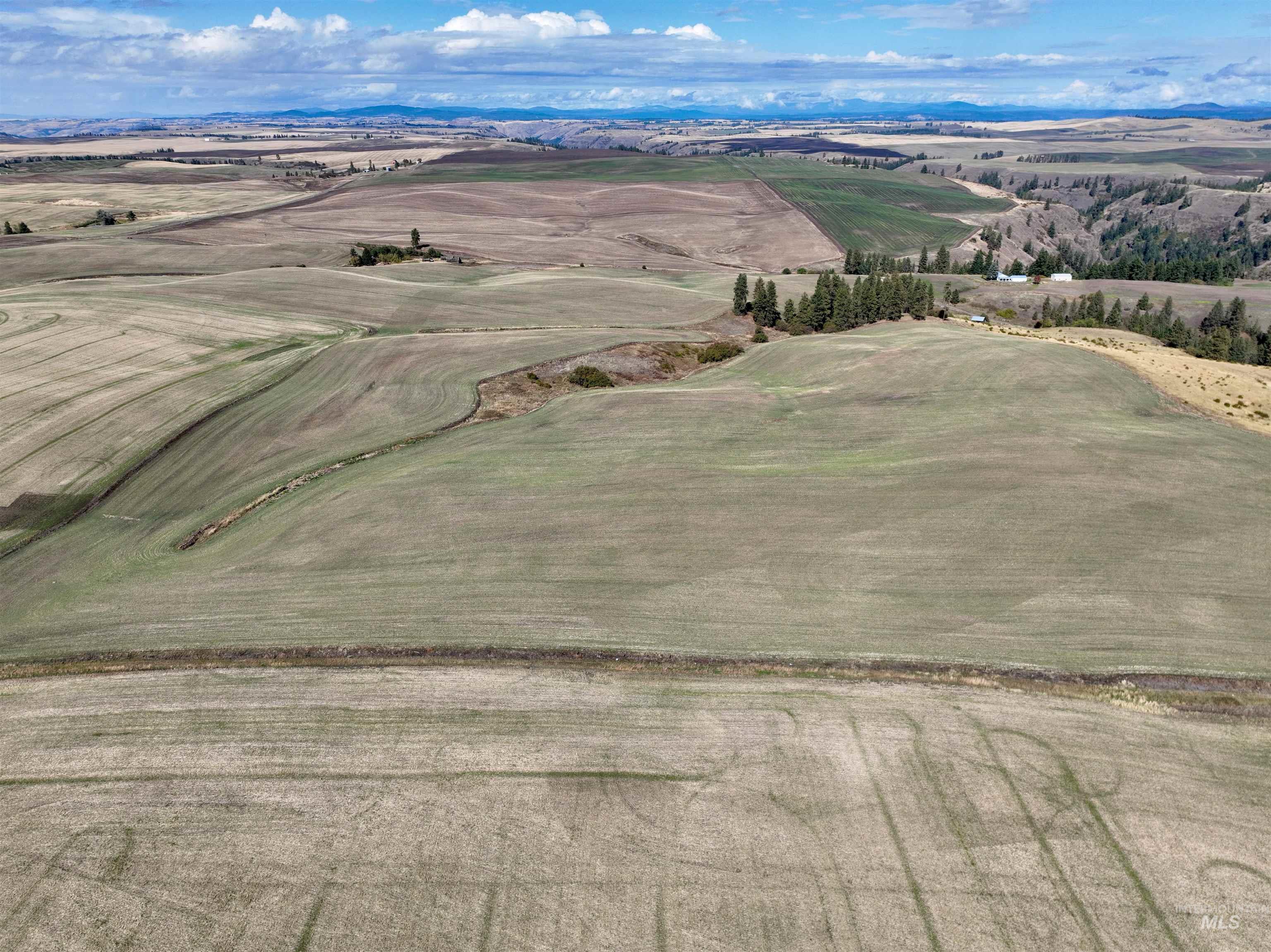 Overview of rural landscape with a mountainous background