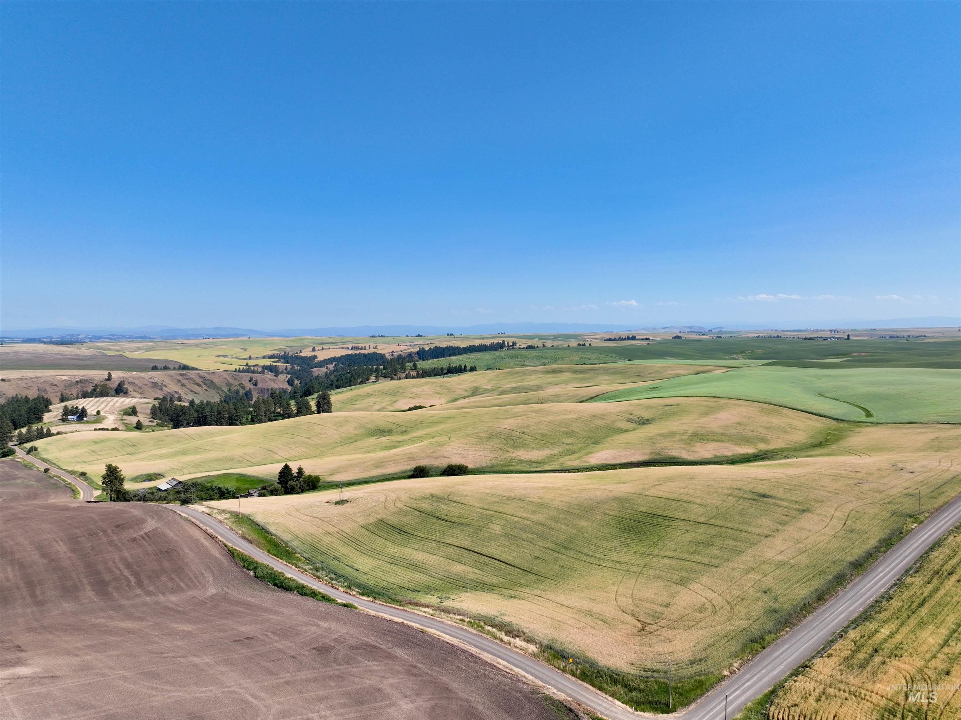 TBD Central Ridge Rd, Craigmont, Idaho 83523, Land For Sale, Price $480,000, 98963754