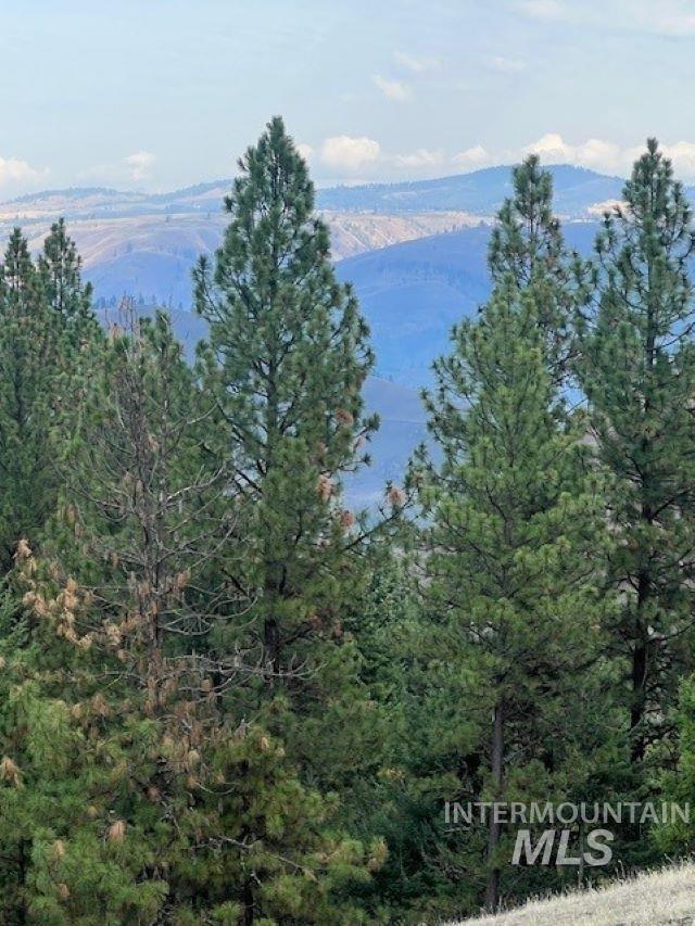DOTY ROAD, Kamiah, Idaho 83536, Farm & Ranch For Sale, Price $1,218,000, 98963797