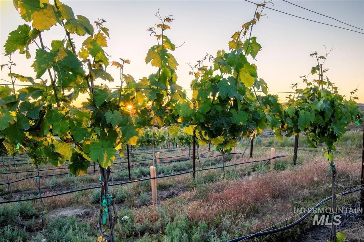 5446 N Highway 16, Eagle, Idaho 83616, 5 Bedrooms, Business/Commercial For Sale, Price $9,100,000, 98963829