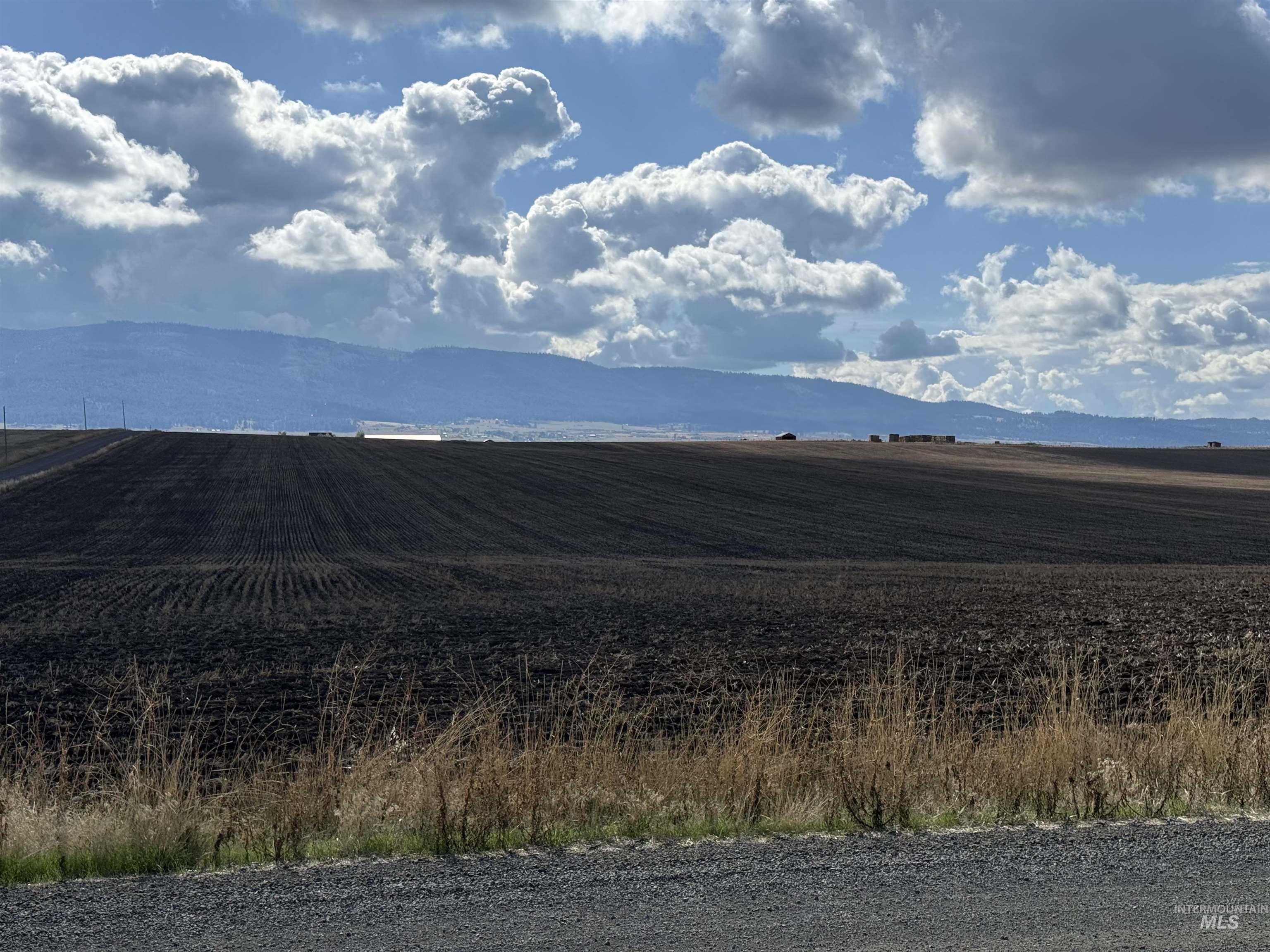 SW corner Day & Prairie Rd, Grangeville, Idaho 83530, Land For Sale, Price $1,095,000, 98963922
