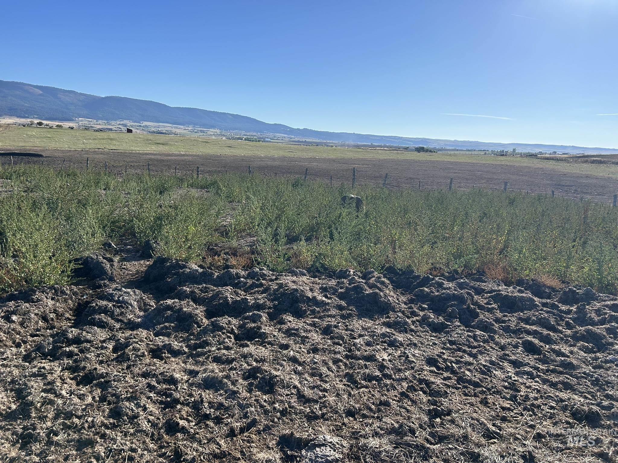 0 Between Day Rd & Old Hwy 7 N of 95, Grangeville, Idaho 83530, Land For Sale, Price $960,000, 98963924
