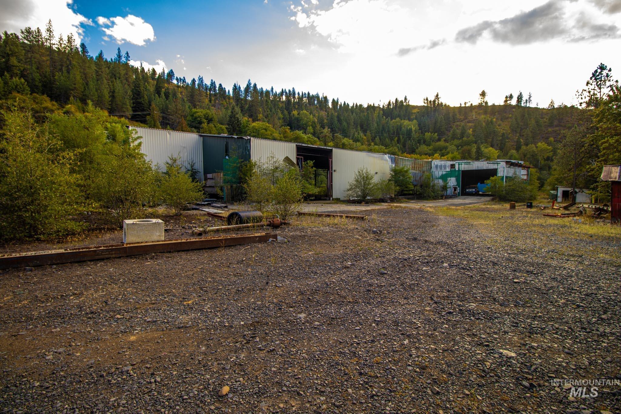 View of yard with a view of trees