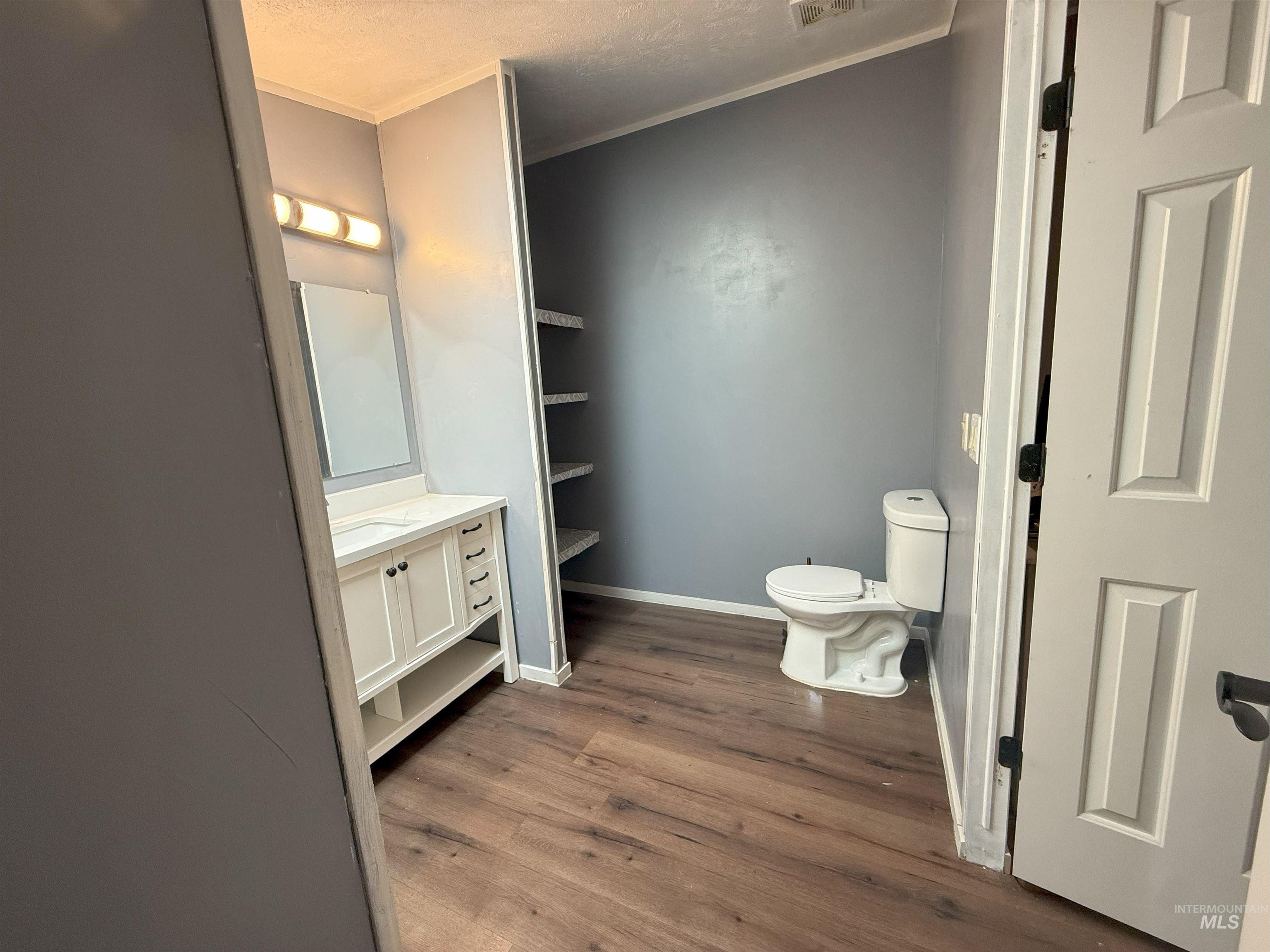 Bathroom featuring vanity, dark wood-style flooring, ornamental molding, and a textured ceiling