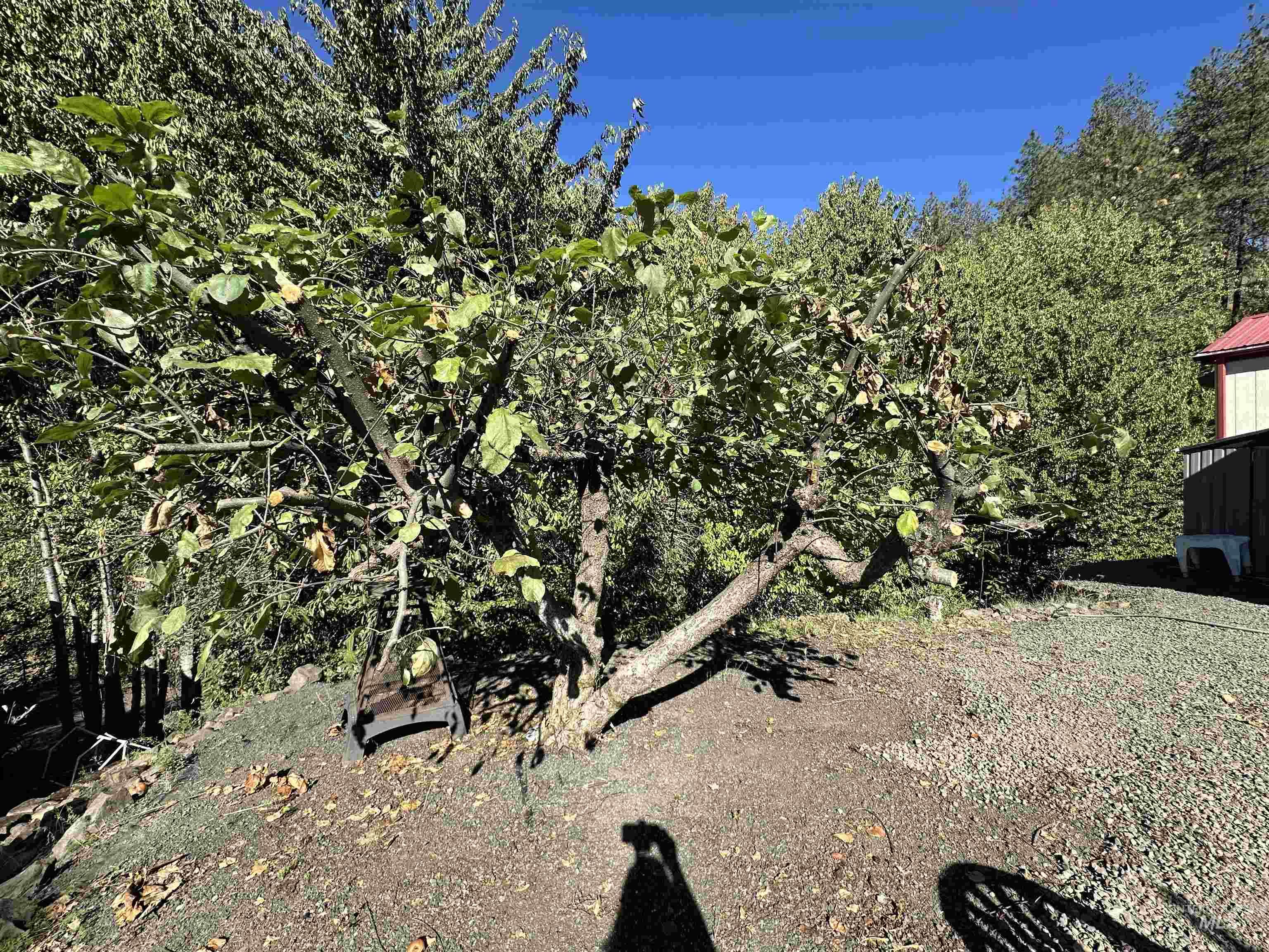 201 Chief Looking Glass Ln, Kamiah, Idaho 83536, 1 Bedroom, 1 Bathroom, Residential For Sale, Price $99,000, 98963975