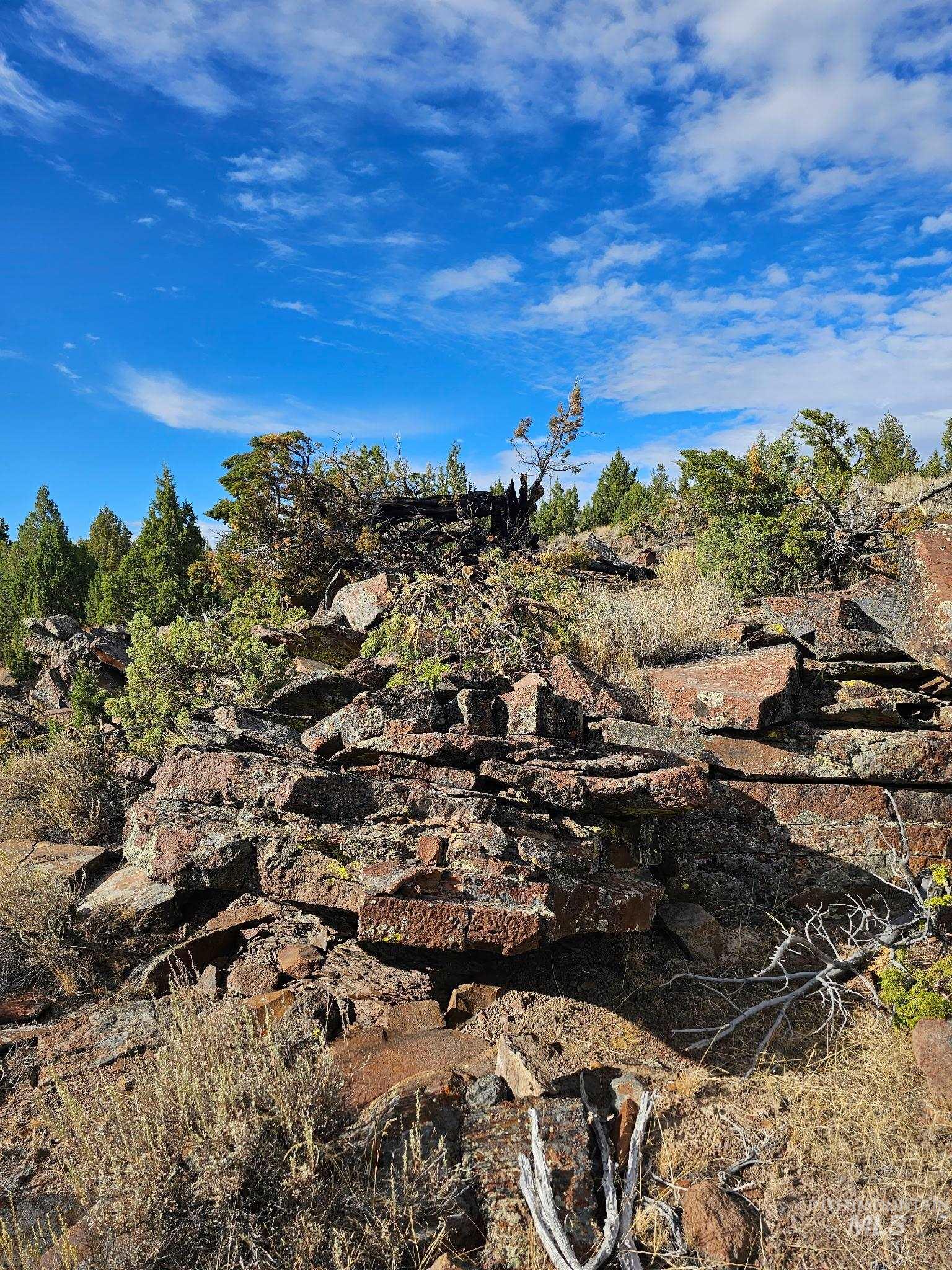 TBD Tract 36 Triangle Ranch, Murphy, Idaho 83650, Land For Sale, Price $65,000, 98963988
