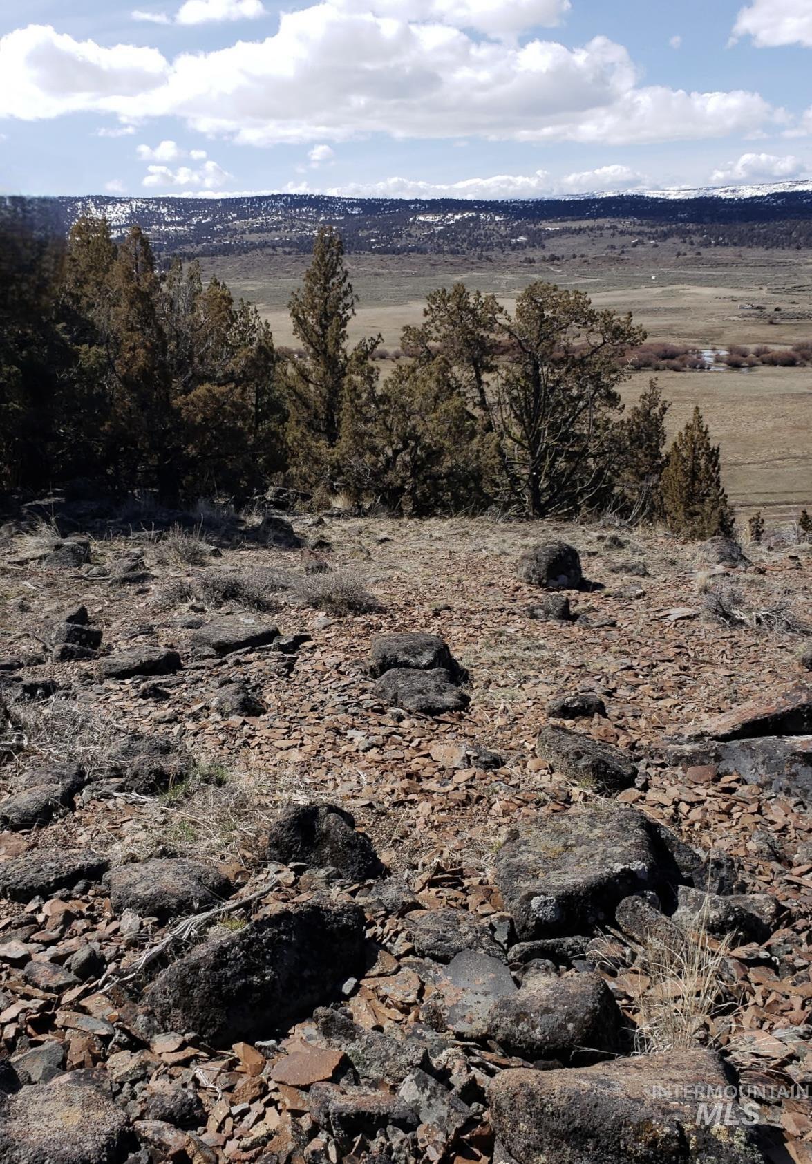 TBD Tract 36 Triangle Ranch, Murphy, Idaho 83650, Land For Sale, Price $65,000, 98963988