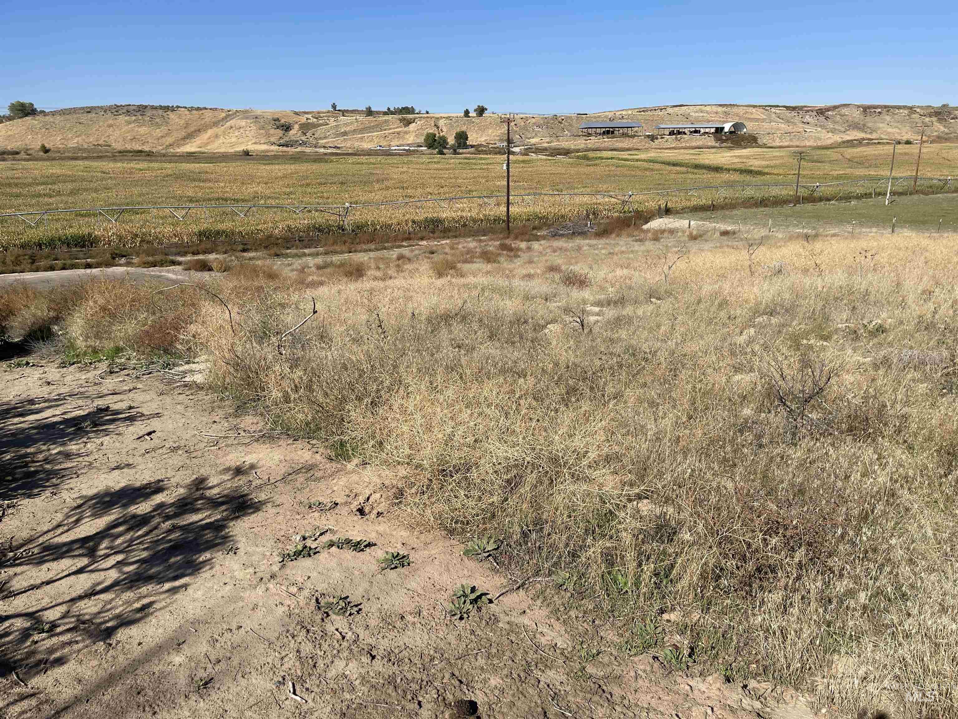 View of yard with a view of rural / pastoral area