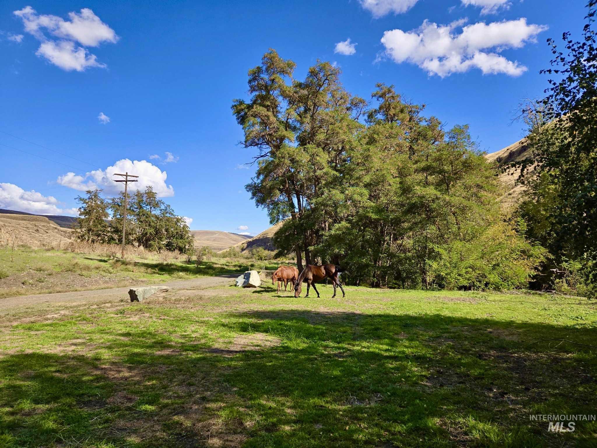 View of grassy yard with a view of rural / pastoral area
