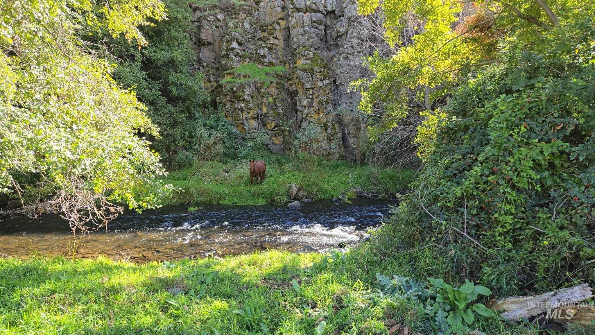 13761 Asotin Creek Rd, Asotin, Washington 99402, Land For Sale, Price $530,000, 98964062