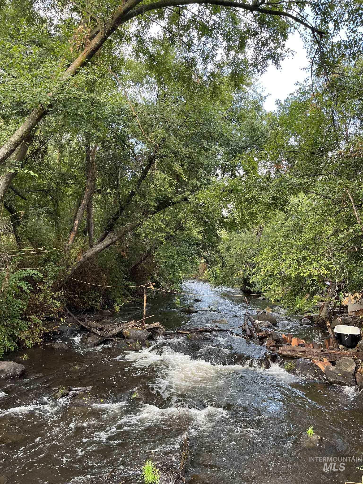 View of woods with a water view