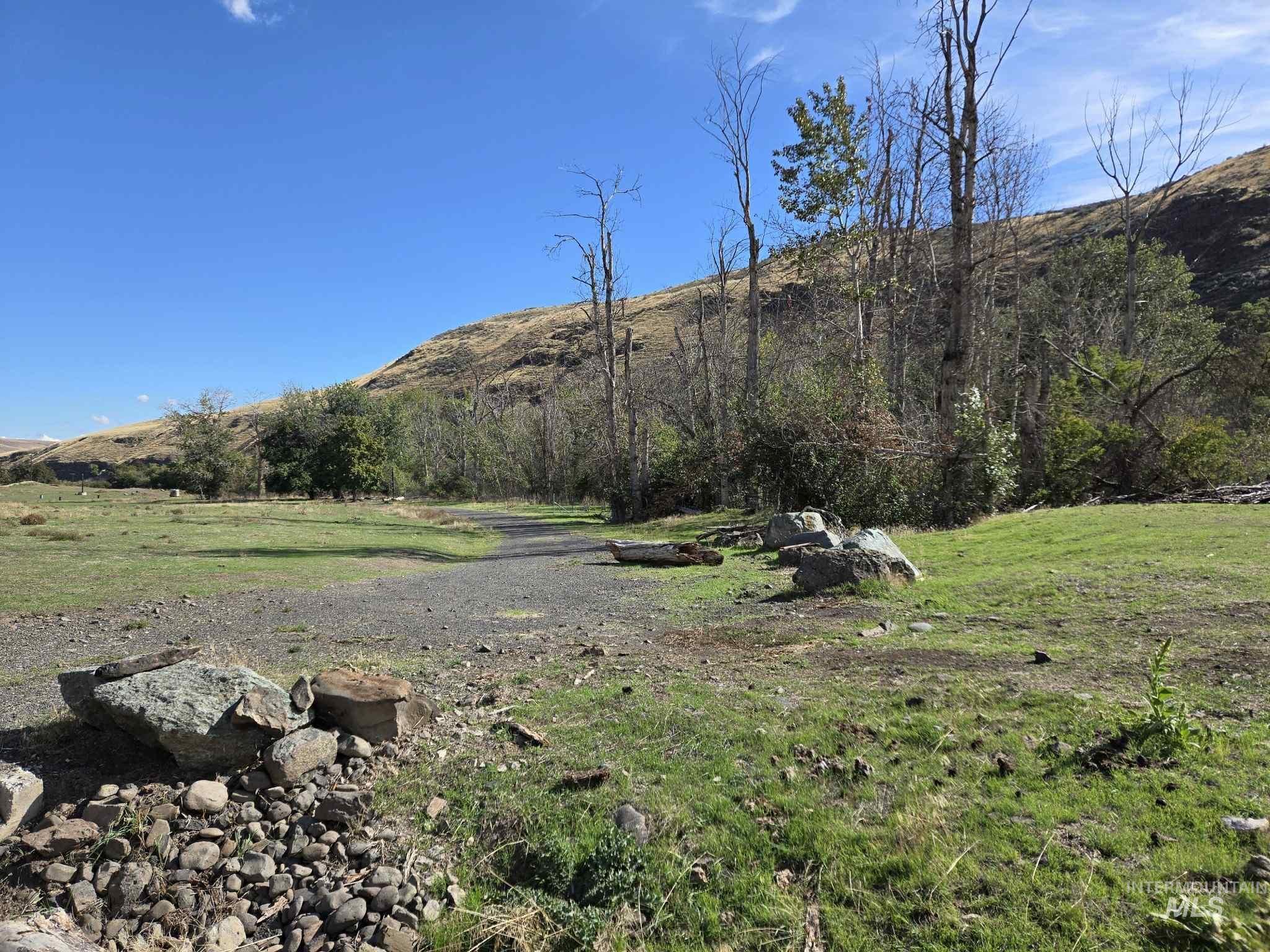 View of grassy yard with a mountain view