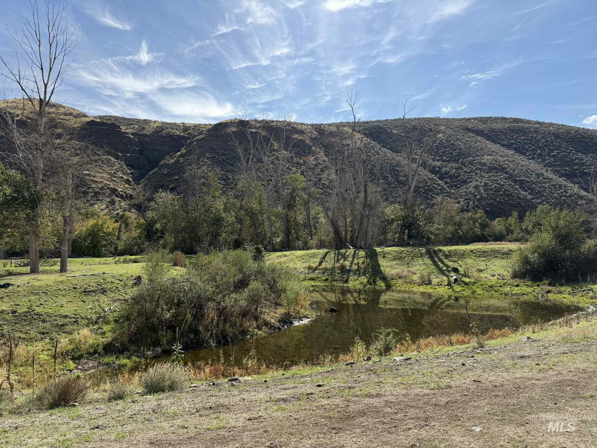Filled by the creek