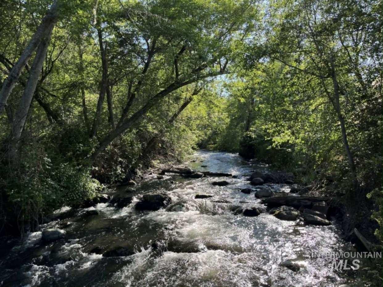 Year round Creek