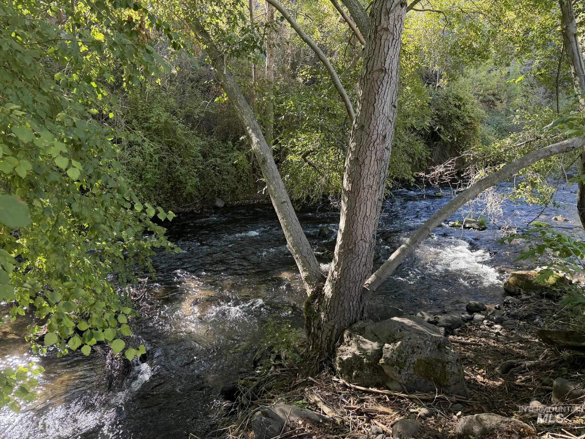 View of wooded area with a water view