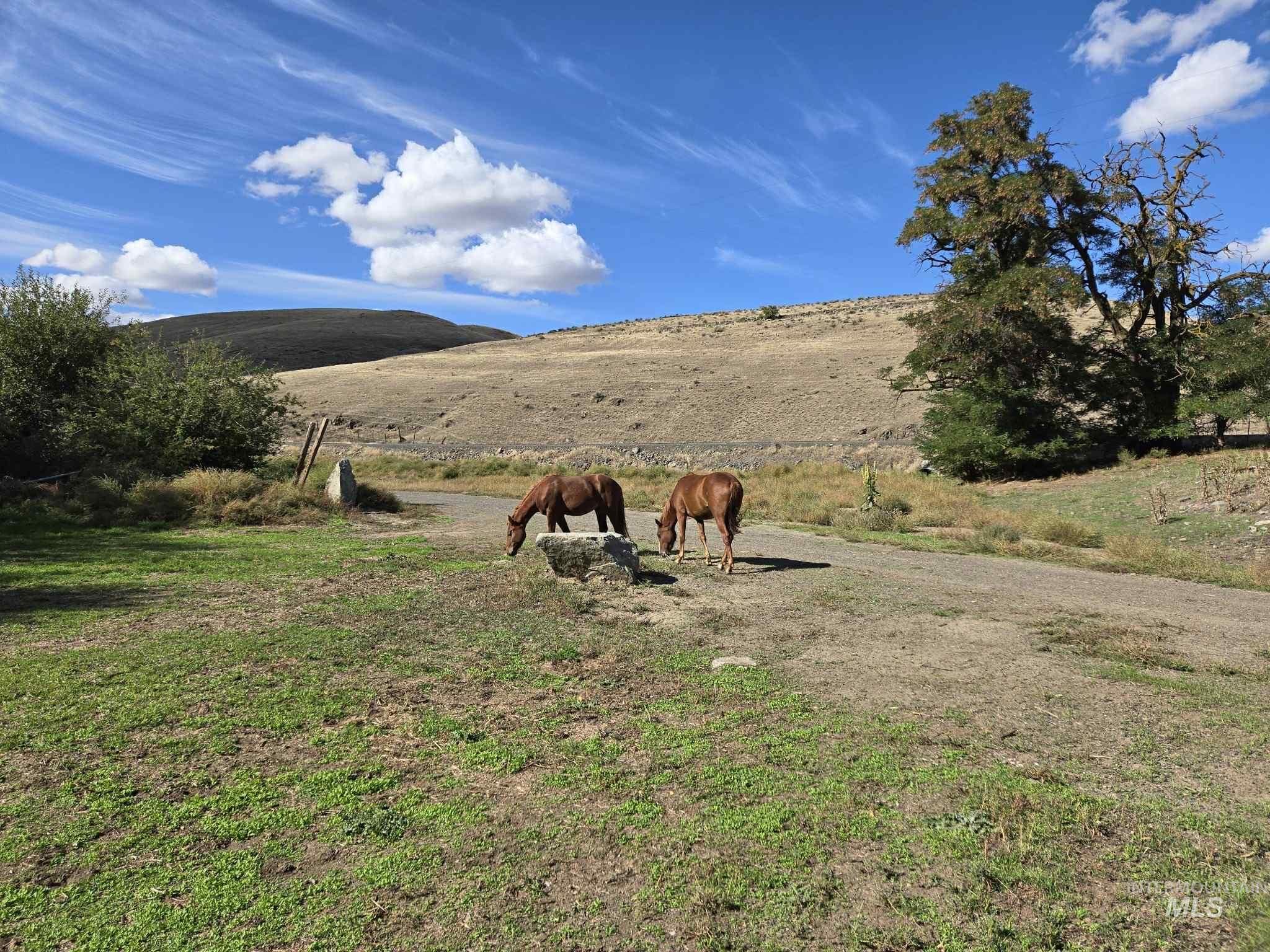 View of yard with a rural view