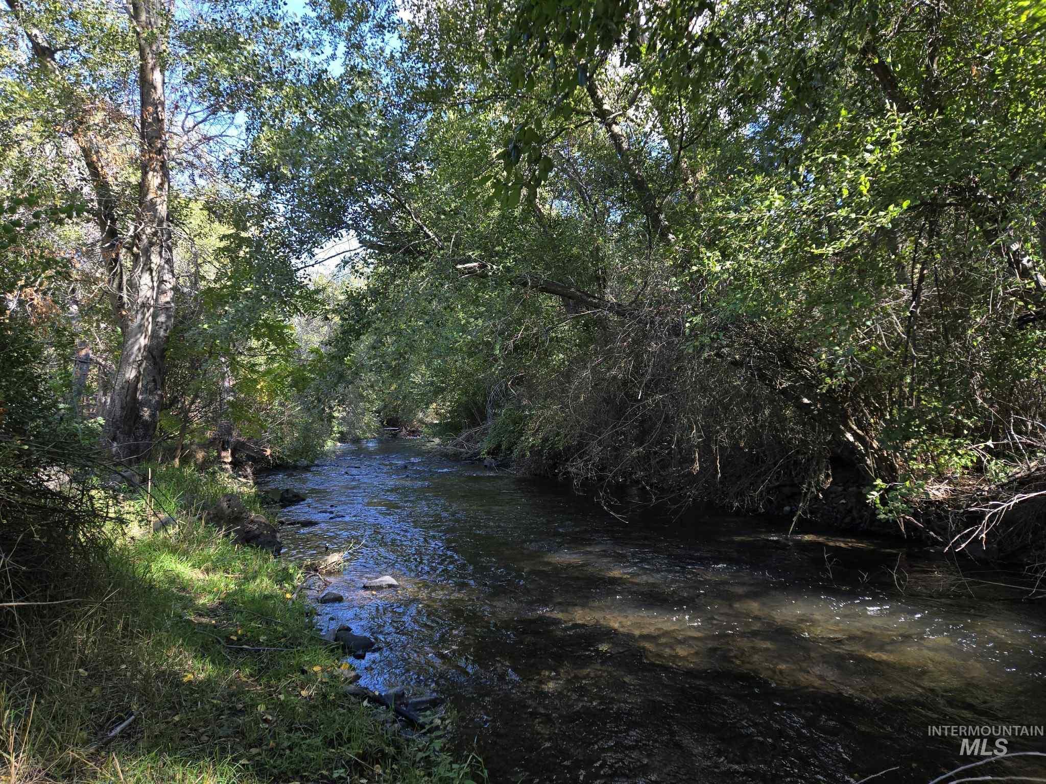 View of woods with a water view