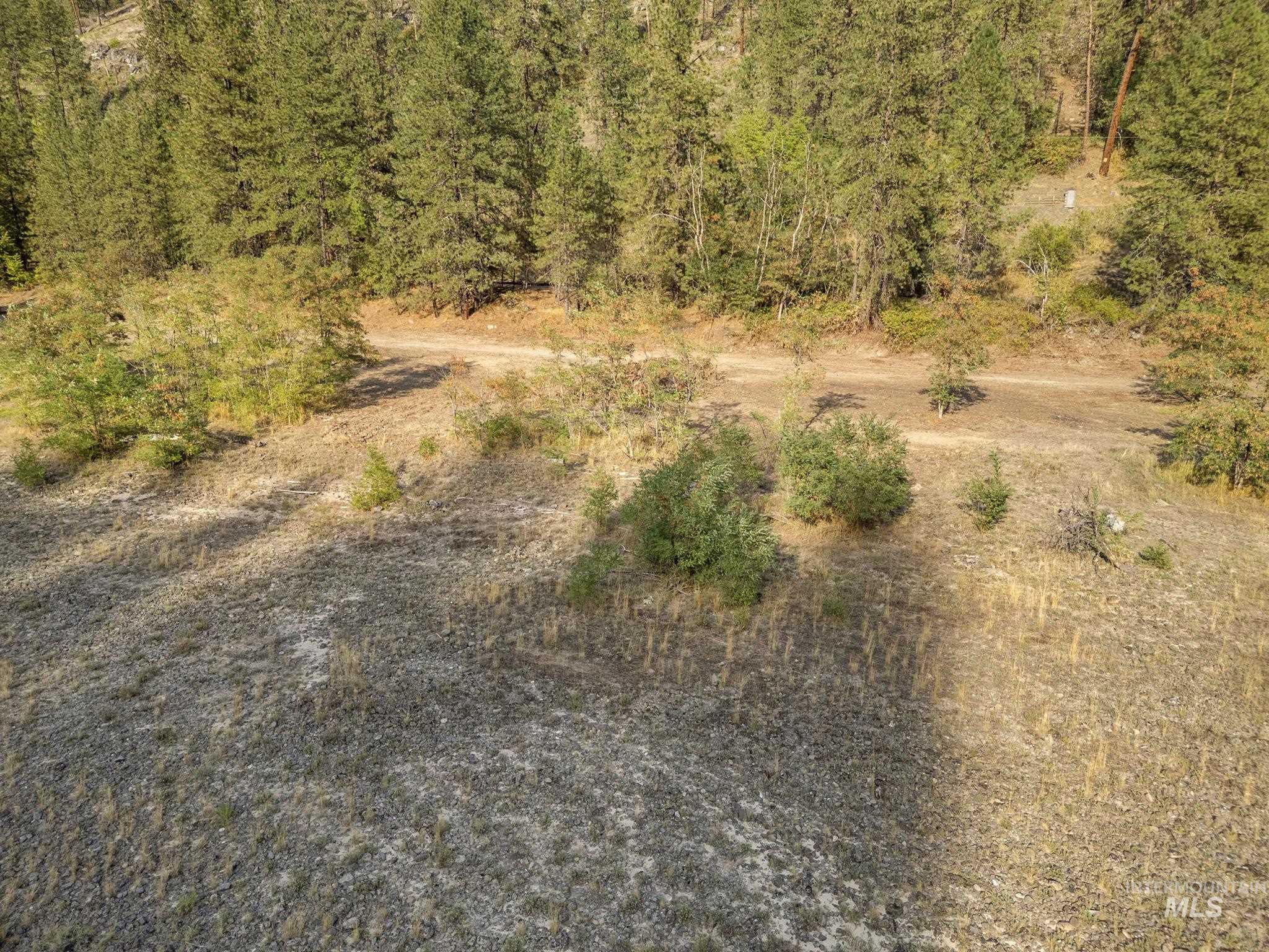 View of undeveloped land