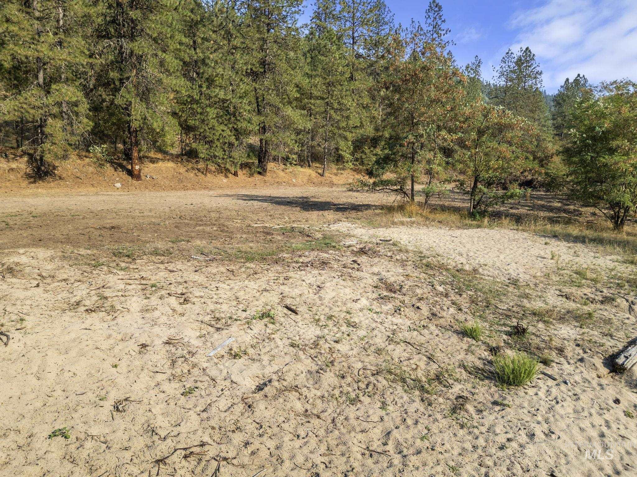 View of undeveloped land
