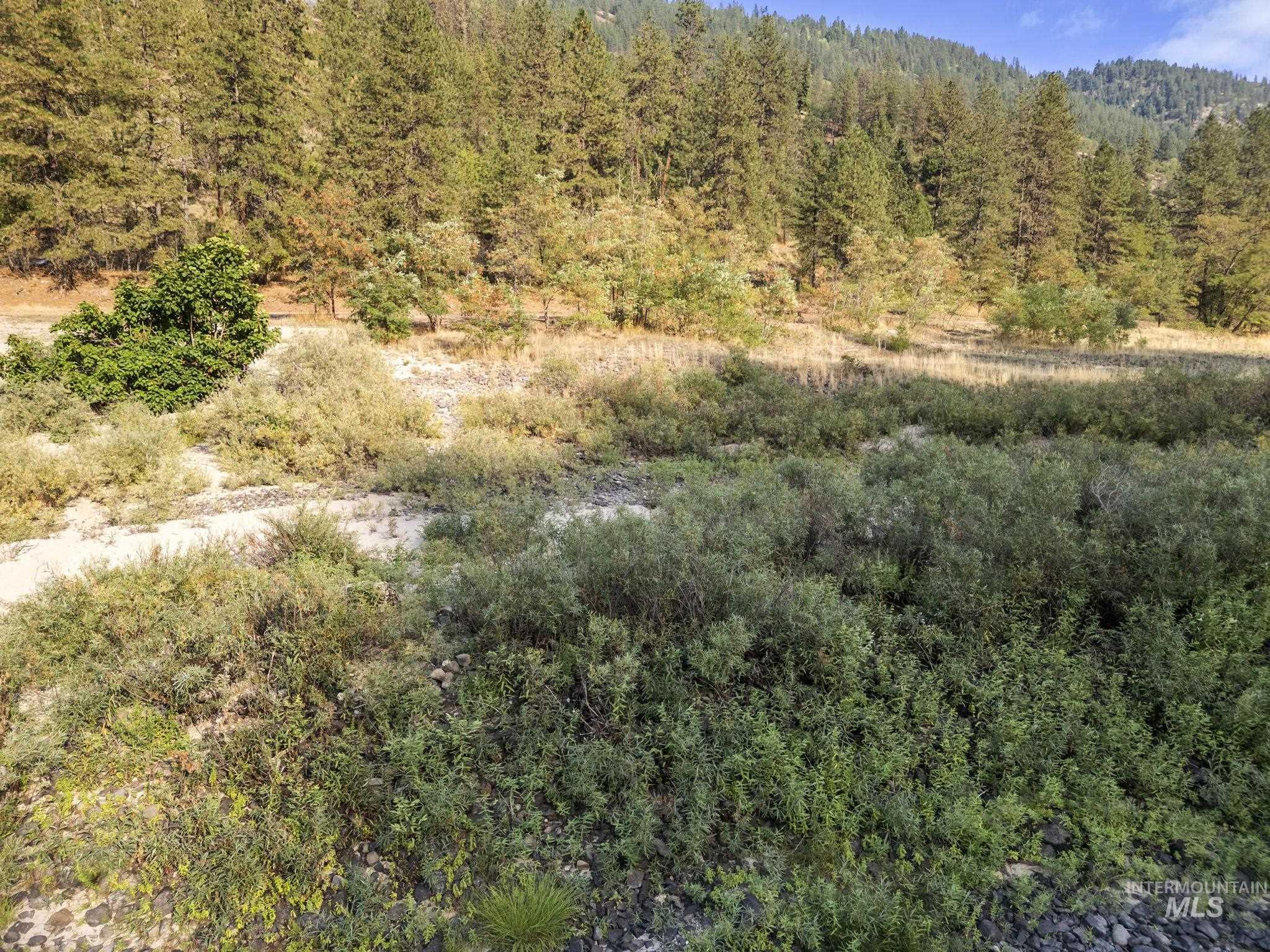 View of woods