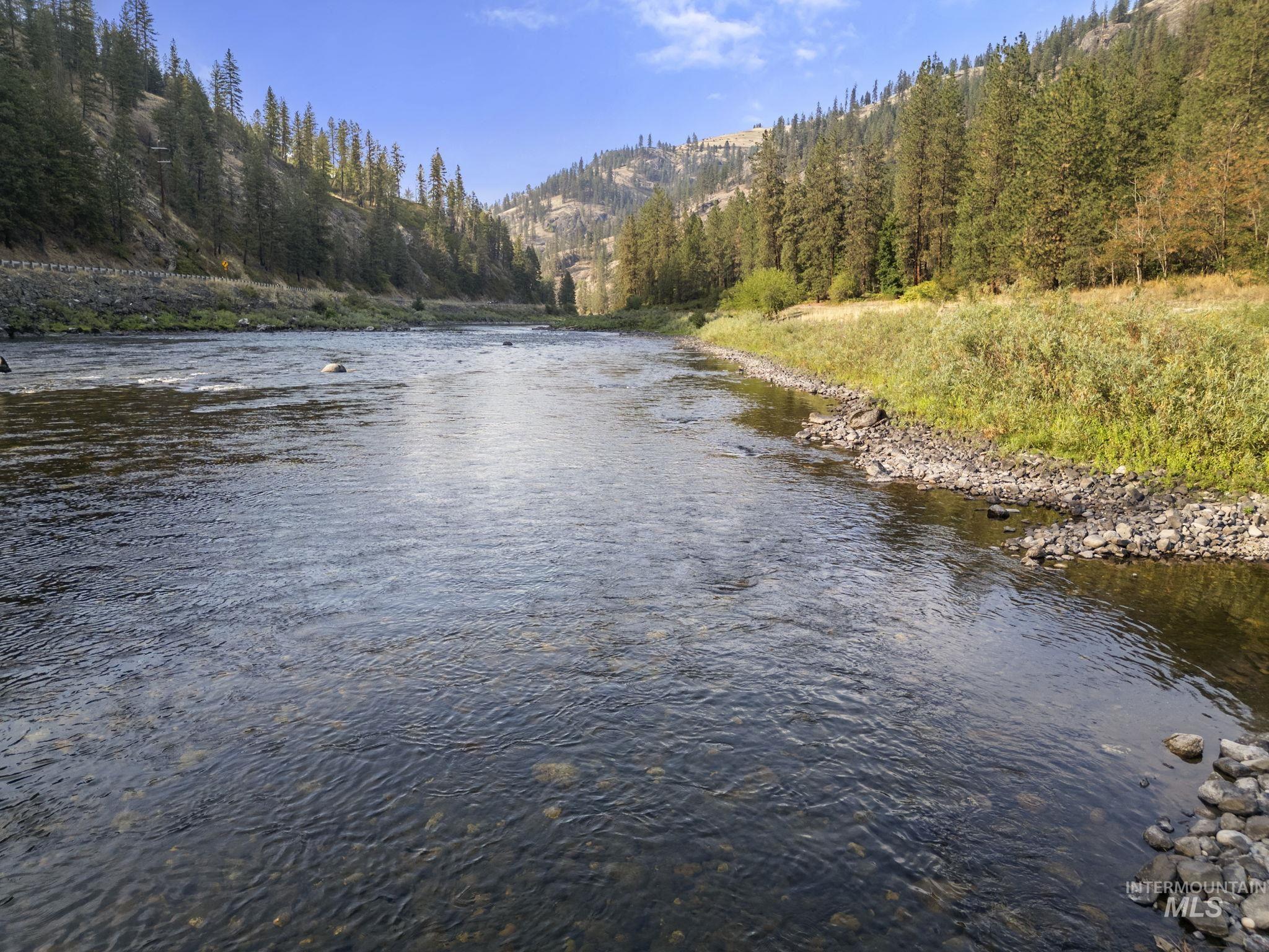 Water view with a forest