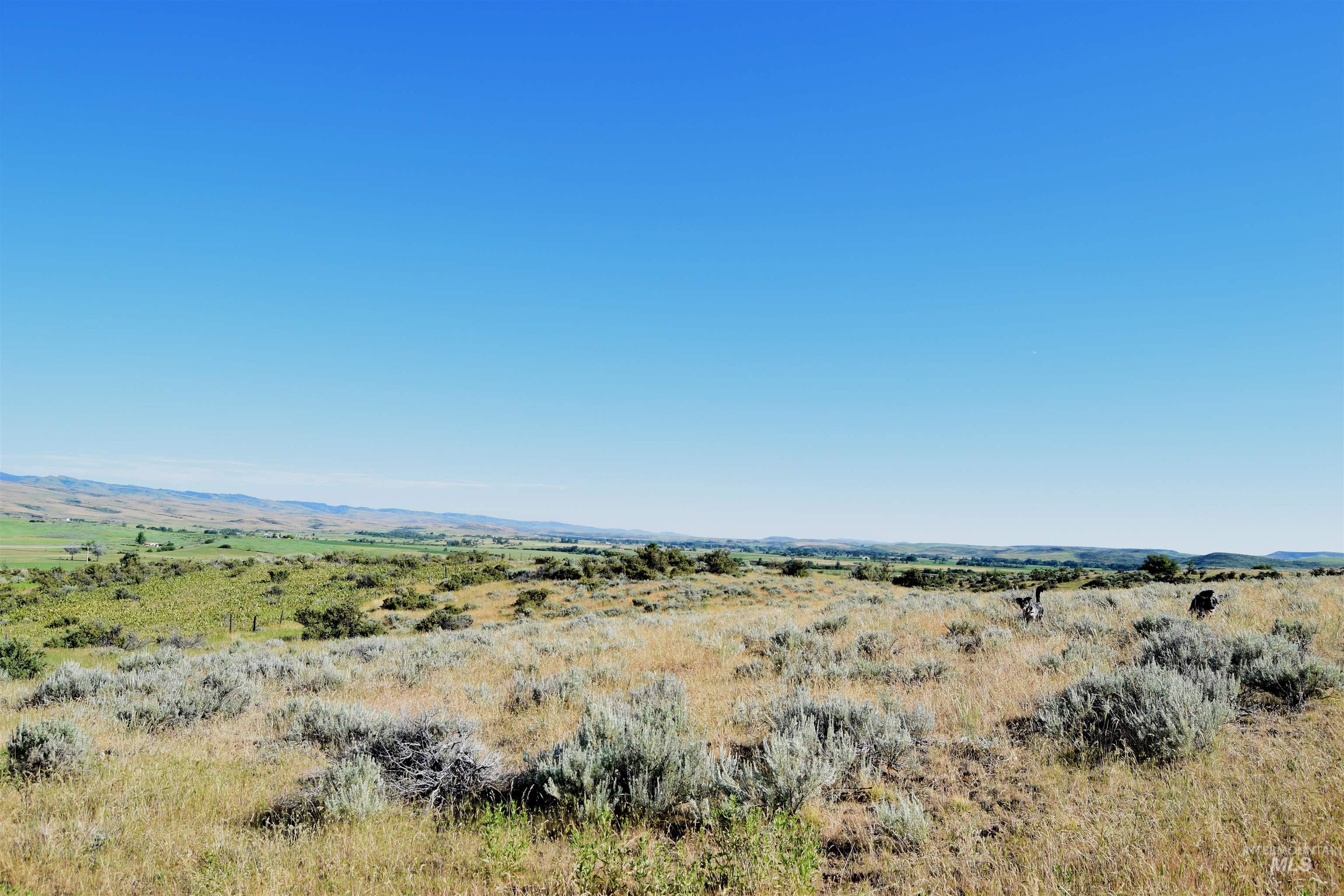 TBD US Hwy 95, Indian Valley, Idaho 83645, Land For Sale, Price $100,000, 98964158