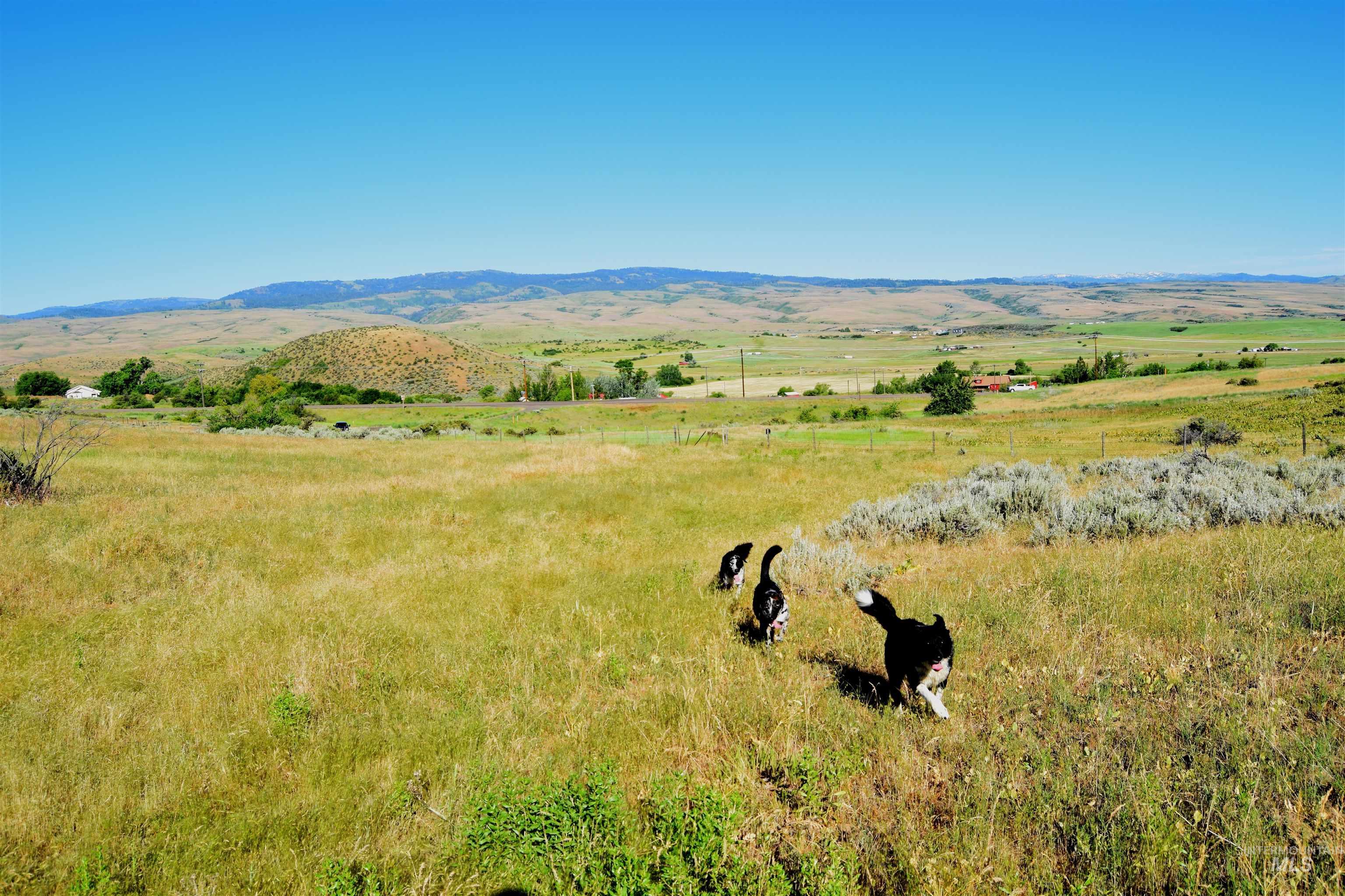 TBD US Hwy 95, Indian Valley, Idaho 83645, Land For Sale, Price $100,000, 98964158