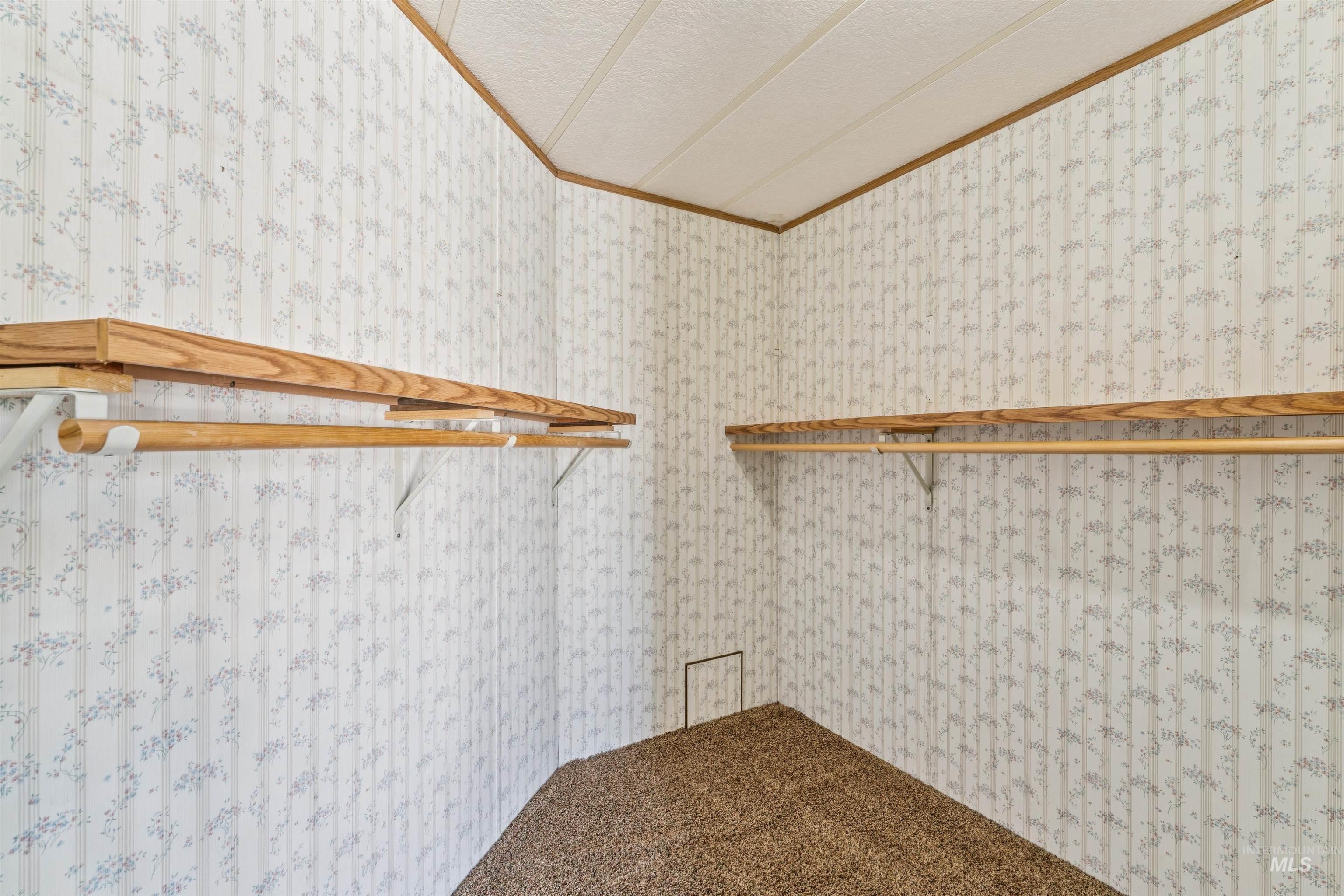 Walk in closet with carpet
